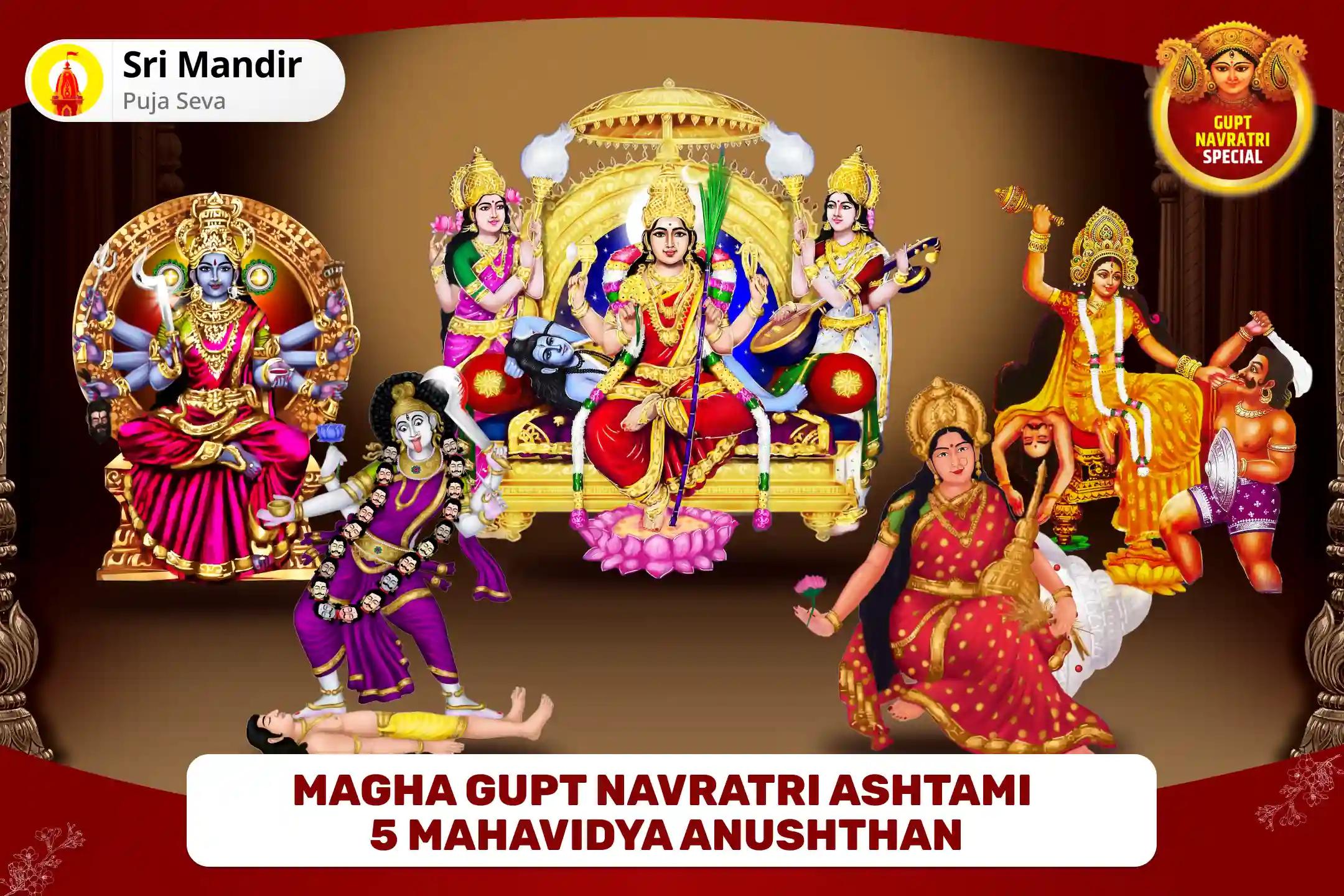 Magha Gupt Navratri Ashtami 5 Mahavidya Anushthan Maa Kali, Maa Tara, Maa Shodashi, Maa Bhuvaneshwari and Maa Bagalamukhi Shakti Samriddhi Maha Yagya For Protection from Enemies and Achieving Abundance