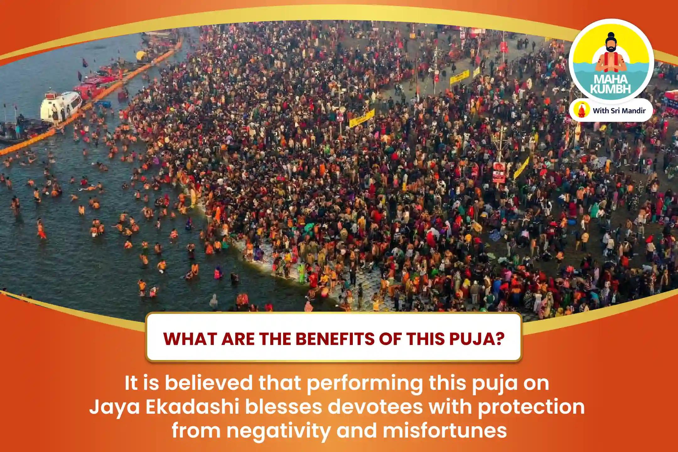 Mahakumbh Ekadashi Ksheer Sagar Special 11,000 Sheshnaag Gayatri Mantra, Shri Vasudev Stotram and Purush Sukta Havan for Protection from Adversities and Misfortunes