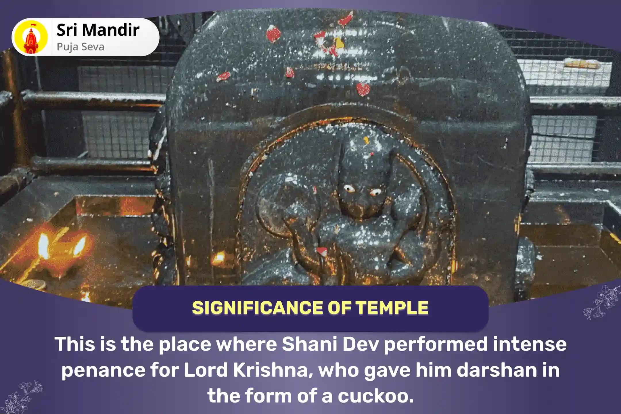 Saturday Shani-Krishna Samyukta Anushthan Shani-Krishna Kokilavan Sankalp Puja and Kosi Kalan Shani Til Tel Abhishek to Heal Past Karmas, Focus on Your Life’s Work, and Experience Everyday Joy