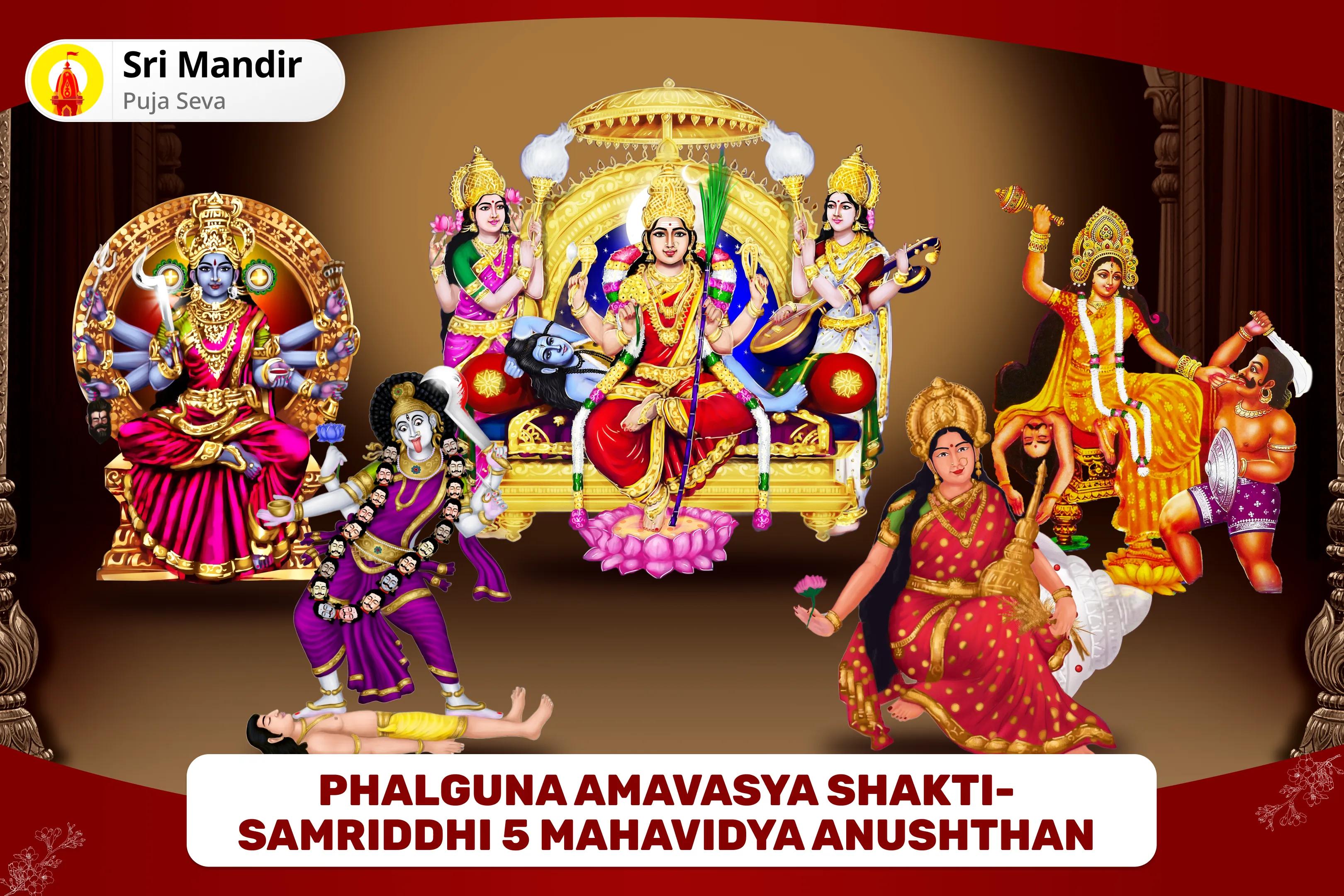 Phalguna Amavasya Shakti-Samriddhi 5 Mahavidya Anushthan Maa Kali, Maa Tara, Maa Shodashi, Maa Bhuvaneshwari and Maa Bagalamukhi Shakti Samriddhi Maha Yagya for Protection from Enemies and Achieving Abundance