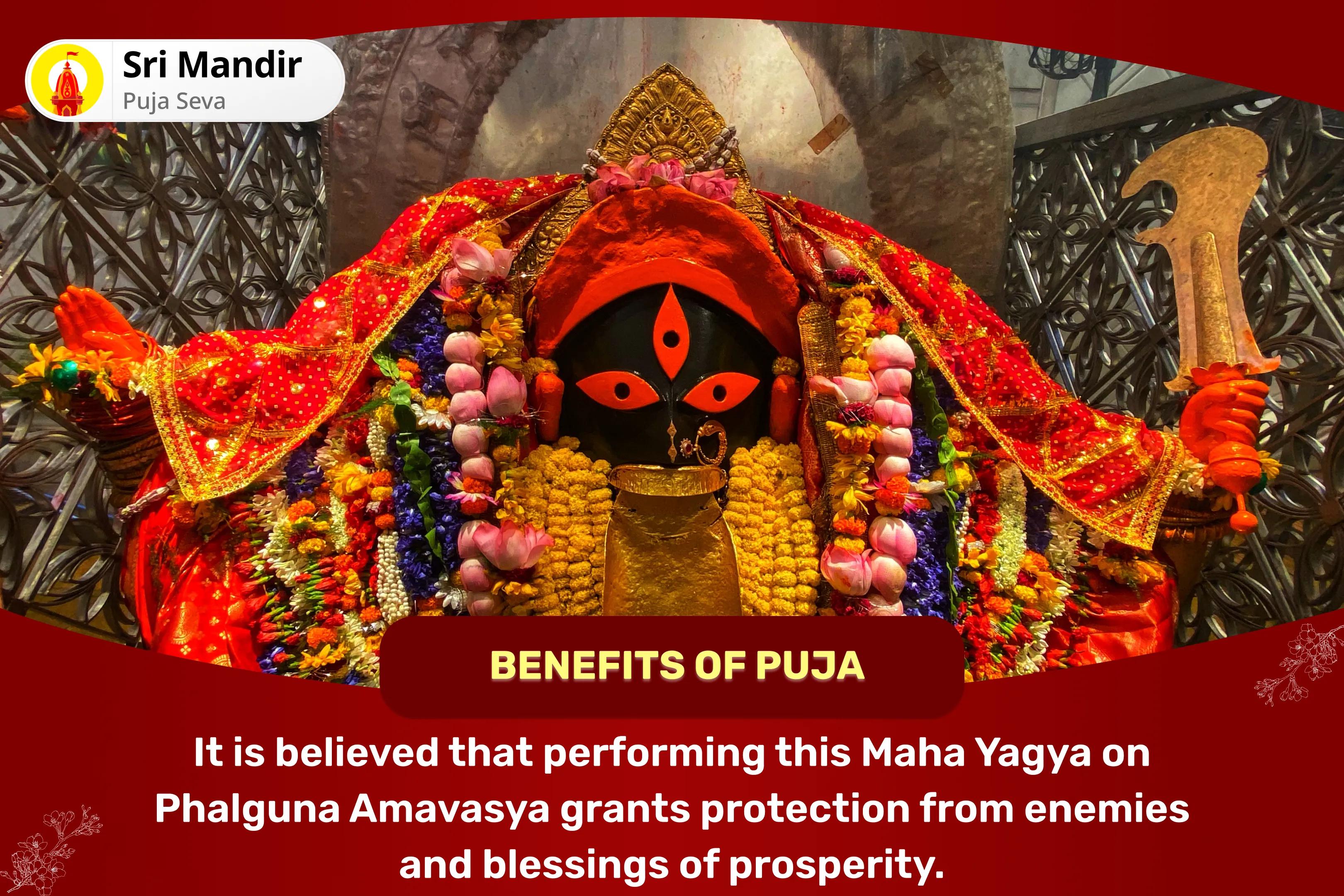 Phalguna Amavasya Shakti-Samriddhi 5 Mahavidya Anushthan Maa Kali, Maa Tara, Maa Shodashi, Maa Bhuvaneshwari and Maa Bagalamukhi Shakti Samriddhi Maha Yagya for Protection from Enemies and Achieving Abundance