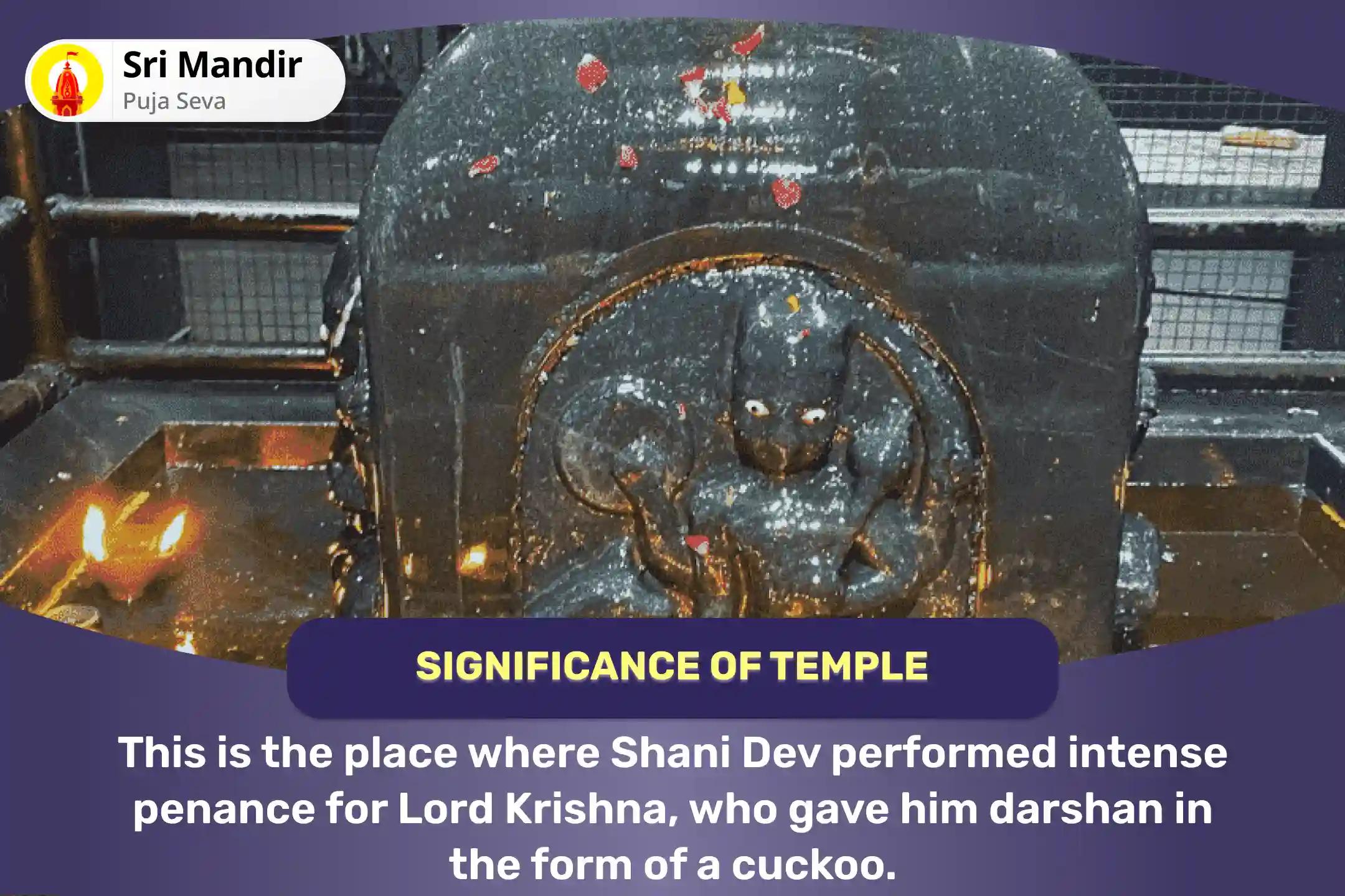  Saturday Shani-Krishna Samyukta Anushthan Shani-Krishna Kokilavan Sankalp Puja and Kosi Kalan Shani Til Tel Abhishek For Blessings of Perseverance and Patience to Achieve Success in Life