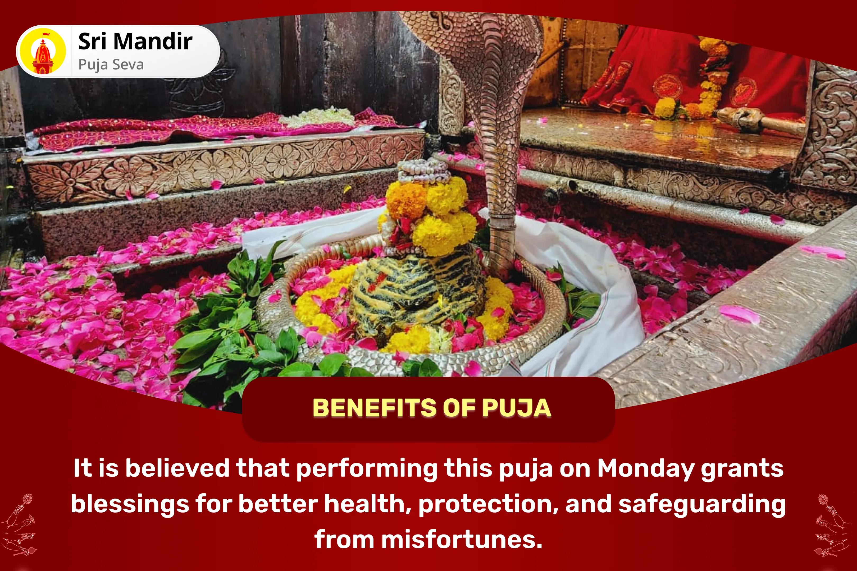 Monday 'God of Health' Jyortirlinga Special 11,000 Mahamrityunjay Mantra Jaap and Arogya Murti Dhanvantari Shakti Homa for Blessings of Healing, Protection, And Warding Off Untimely Misfortunes