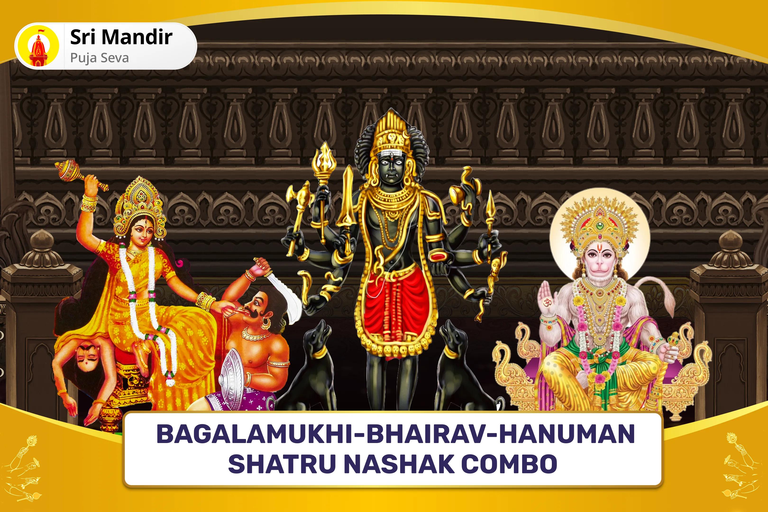 Bagalamukhi-Bhairav-Hanuman Shatru Nashak Combo Maa Bagalamukhi, Kaal Bhairav and Sankat Mochan Hanuman Sarva Kasht Nivaran Puja and Yagya for Protection from Enemies, Destroying Negativity and Removing Obstacles in Life