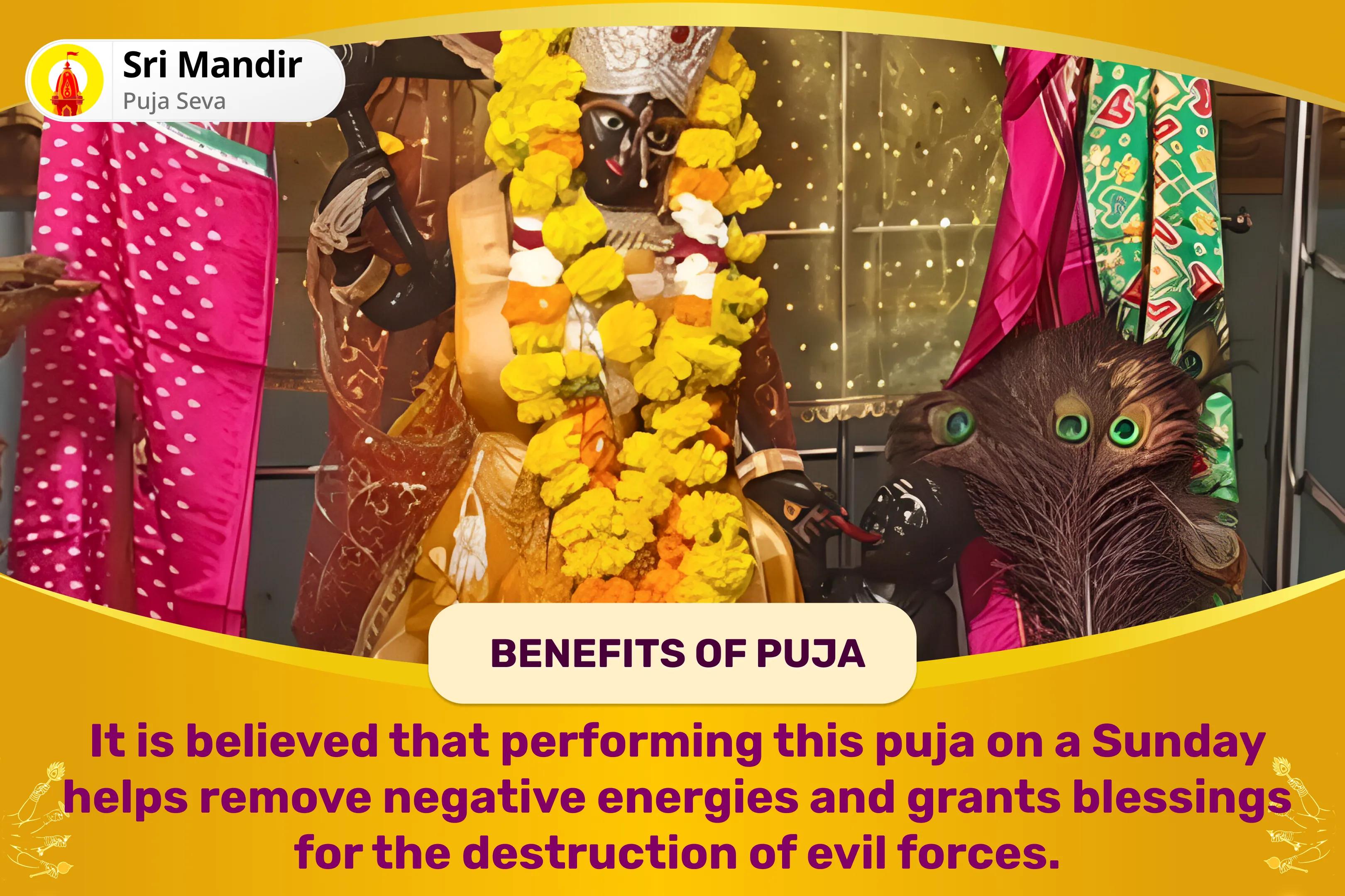 Mahavidya 25 Brahmin Durga Ashtami Mahanushthan Bagalamukhi-Pratyangira Kavach Path, 1,25,000 Bagalamukhi Mool Mantra Jaap and havan for Devi's Protection to Repel Malevolent Energies and Negative Influences