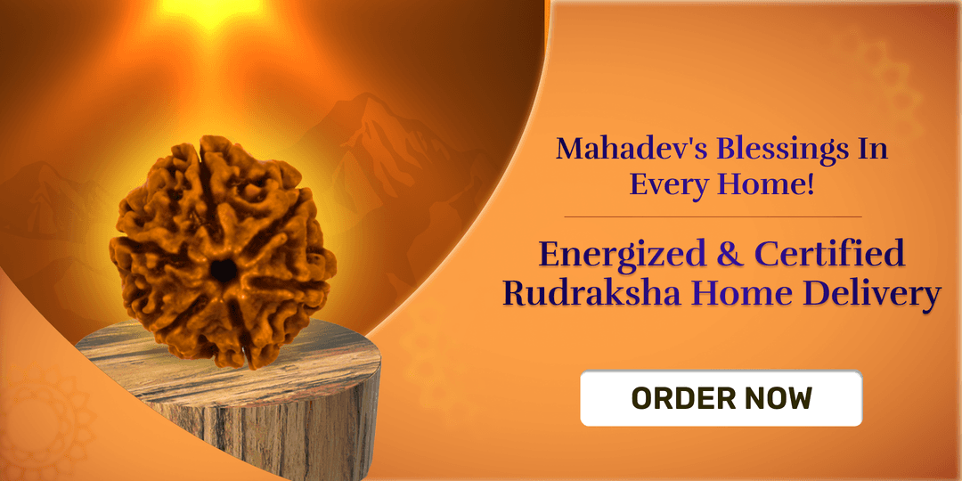 🔱 Bring Home a Blessed Rudraksha This Shivratri!