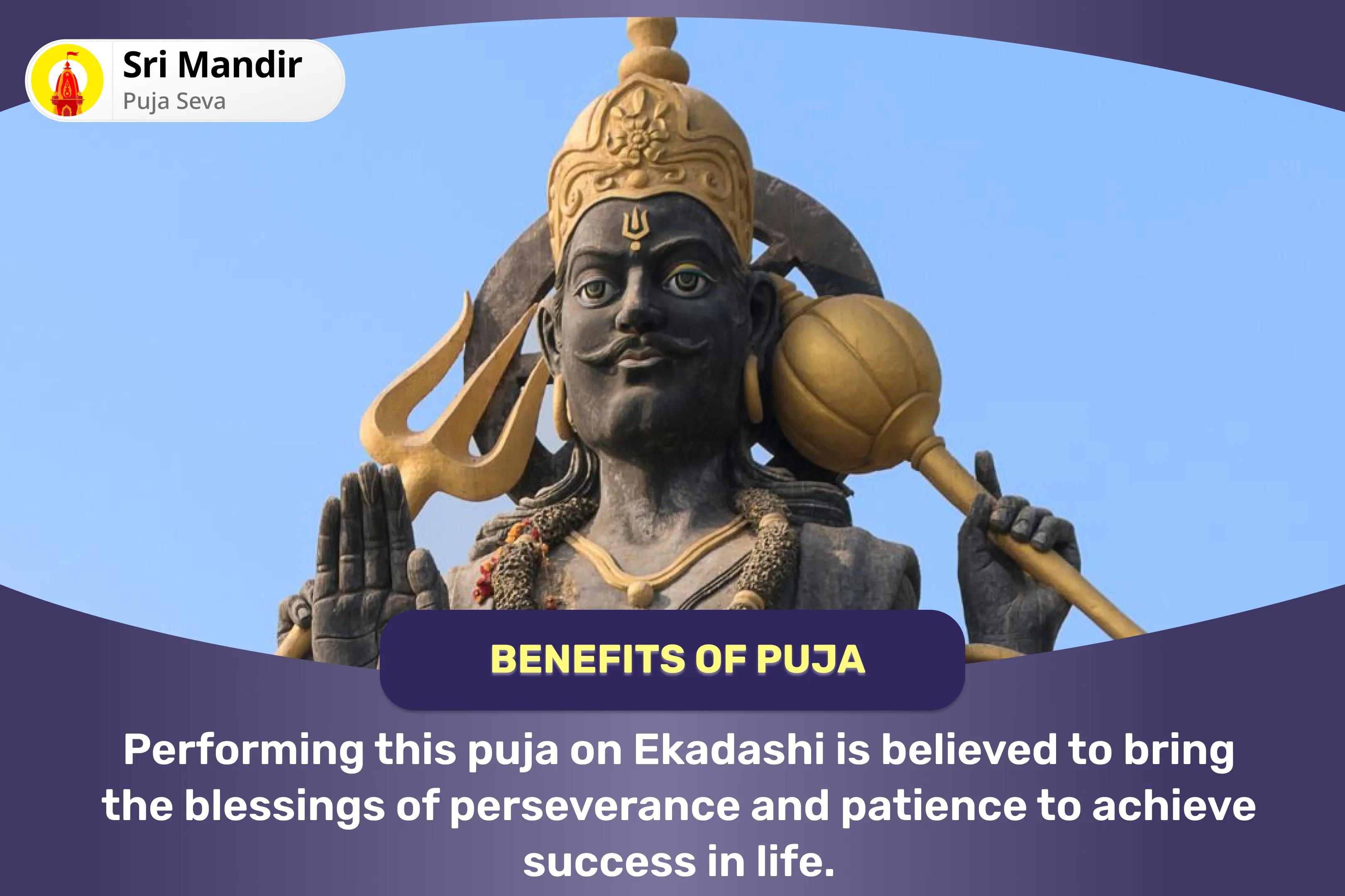 Ekadashi Shani-Krishna Samyukta Anushthan Shani-Krishna Kokilavan Sankalp Puja and Kosi Kalan Shani Til Tel Abhishek for Blessings of Perseverance and Patience to Achieve Success in Life