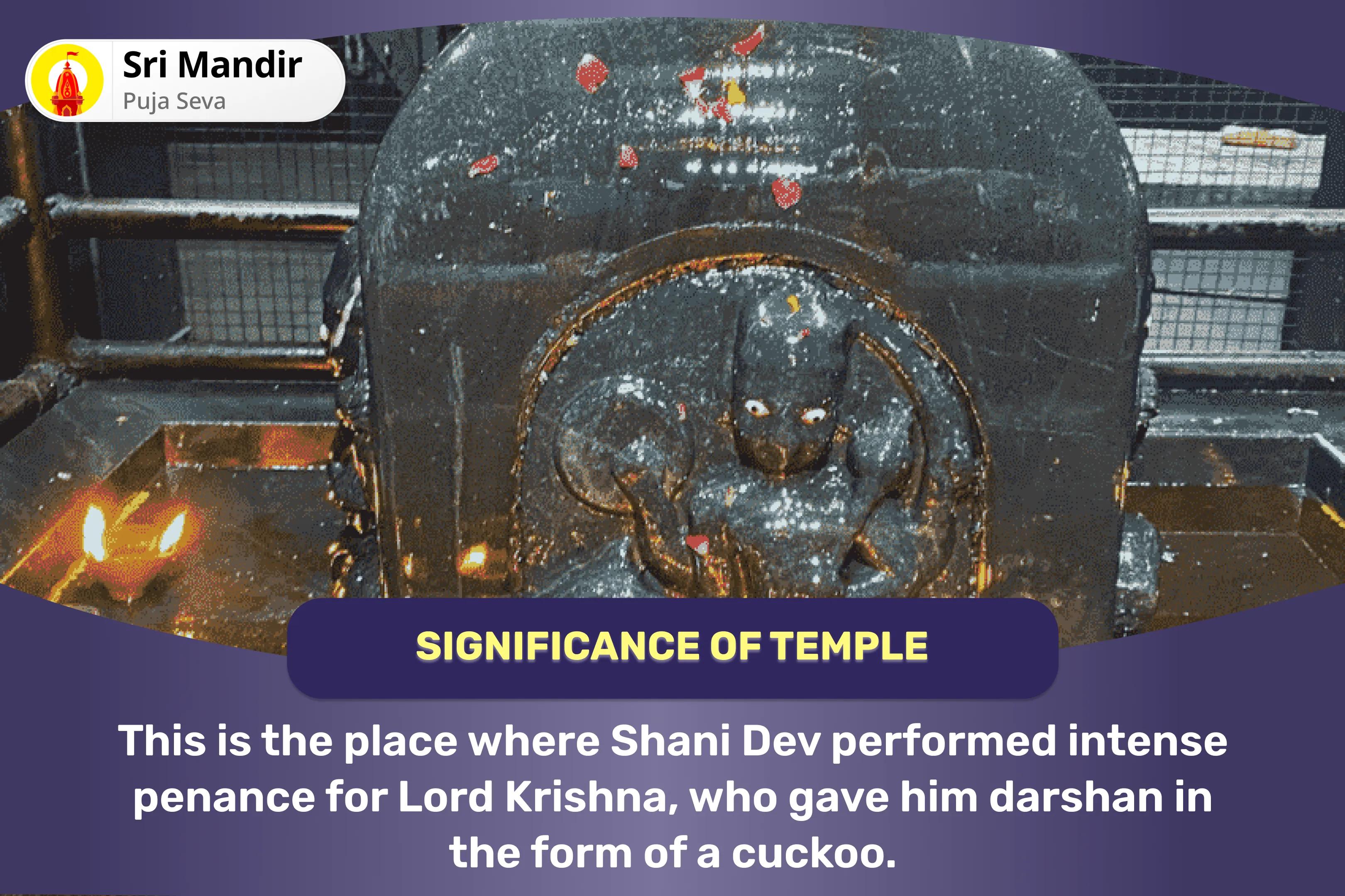 Ekadashi Shani-Krishna Samyukta Anushthan Shani-Krishna Kokilavan Sankalp Puja and Kosi Kalan Shani Til Tel Abhishek for Blessings of Perseverance and Patience to Achieve Success in Life