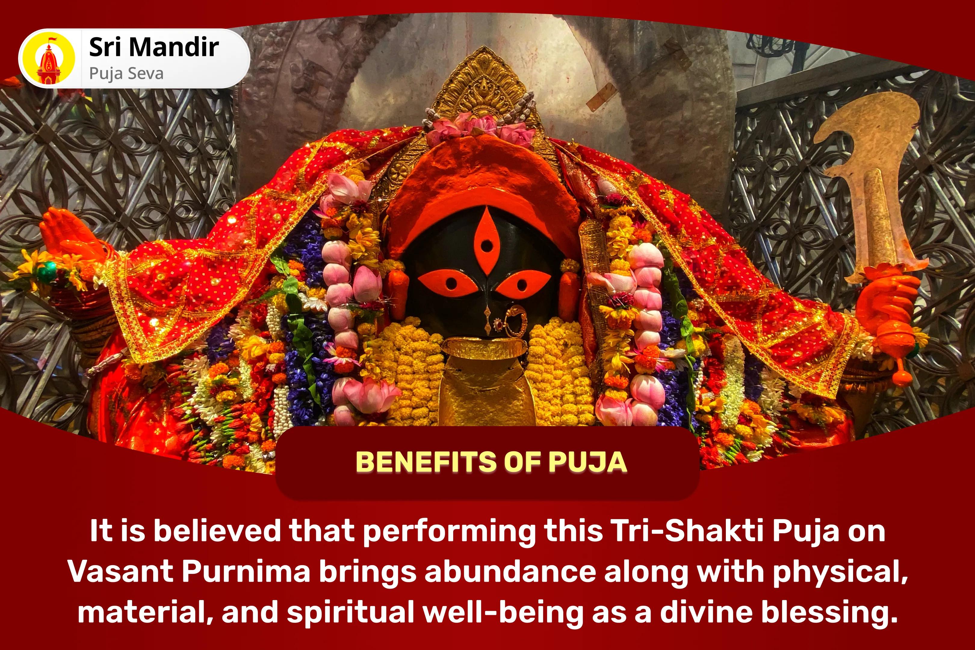 Shaktipeeth Tri-Shakti Vasant Purnima Special 11,000 Durga Beej Mantra Jaap, Ashta Lakshmi Yagya and Saraswati Vandana for Physical, Material and Spiritual Well-Being and Abundance