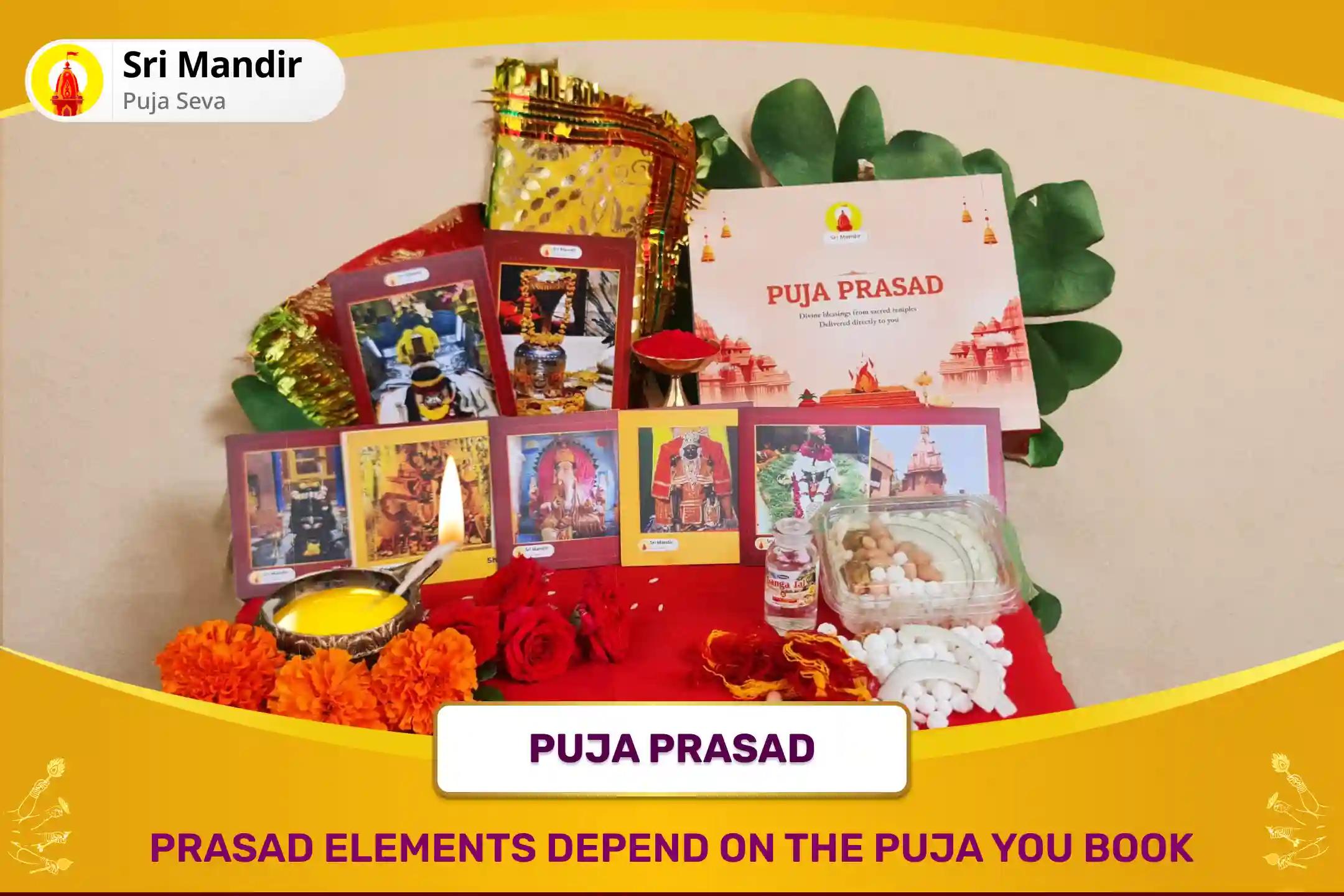 Narayan-Prahlad Sankat Naashak Holika Dahan Anushthan Narayan-Prahlad Sankat Naashak Holika Dahan Anushthan and Narayan Sudarshan Maha Yagya ForProtection From Enemies, Evil Energies & Hidden Dangers