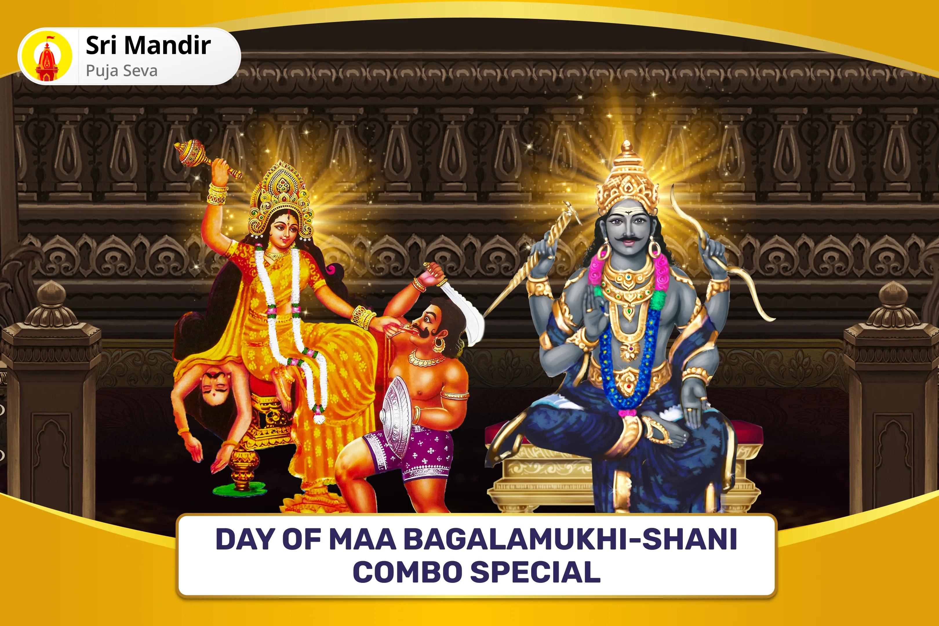 Day of Maa Bagalamukhi-Shani Combo Special Maa Bagalamukhi Tantra Yukta Havan and Shani Til Tel Abhishek to get Blessing for Victory over Enemies and in Court Cases