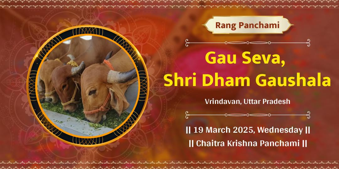 Rang Panchami Shri Dham Gaushala Gau Seva