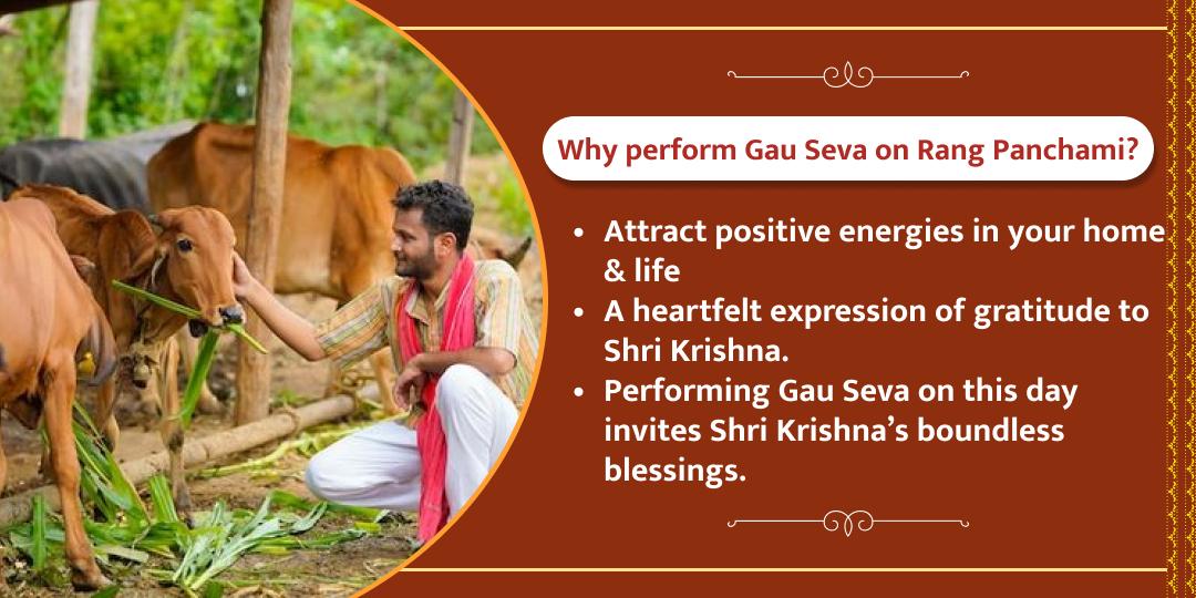 Rang Panchami Shri Dham Gaushala Gau Seva