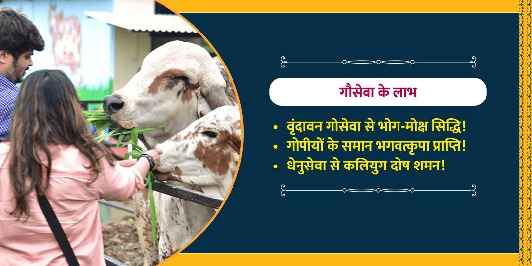 मेष संक्रांति श्री धाम गौशाला गौ सेवा