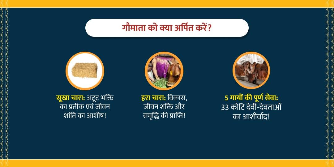 मेष संक्रांति श्री धाम गौशाला गौ सेवा