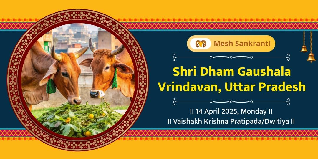 Mesh Sankranti Shri Dham Gaushala Gau Seva 