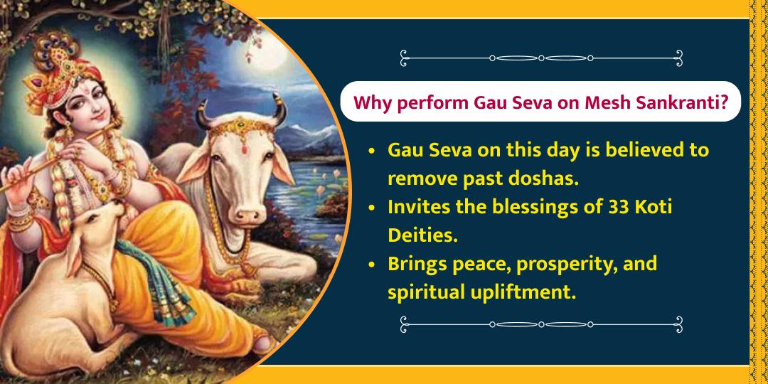 Mesh Sankranti Shri Dham Gaushala Gau Seva 