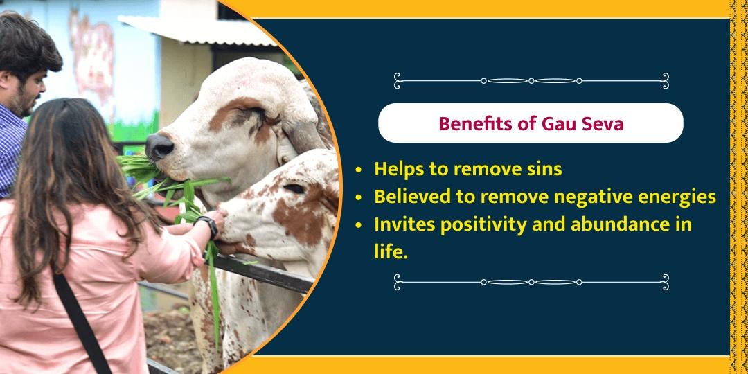 Mesh Sankranti Shri Dham Gaushala Gau Seva 