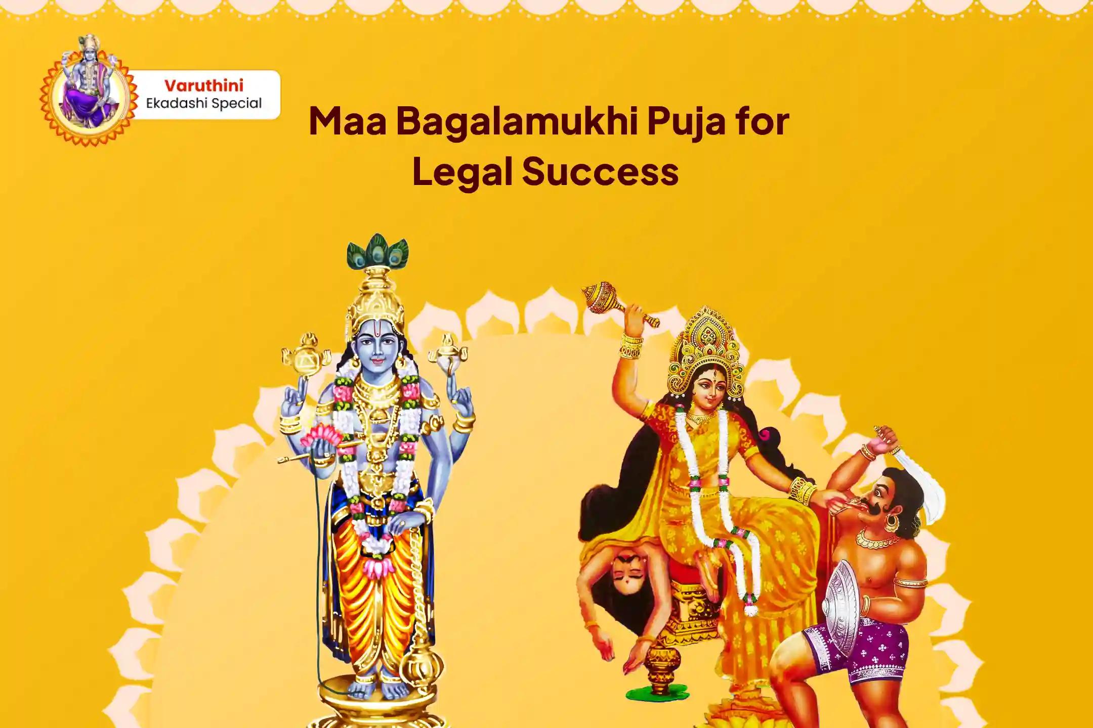 Varuthini Ekadashi Narayan-Bagalamukhi Mahapath Combo Yagya 36,000 Maa Bagalamukhi Mantra Jaap and Narayan Sudarshan Kavacham Yagya for Resolving Legal Battles, Ensuring Victory, and Removing Enmity