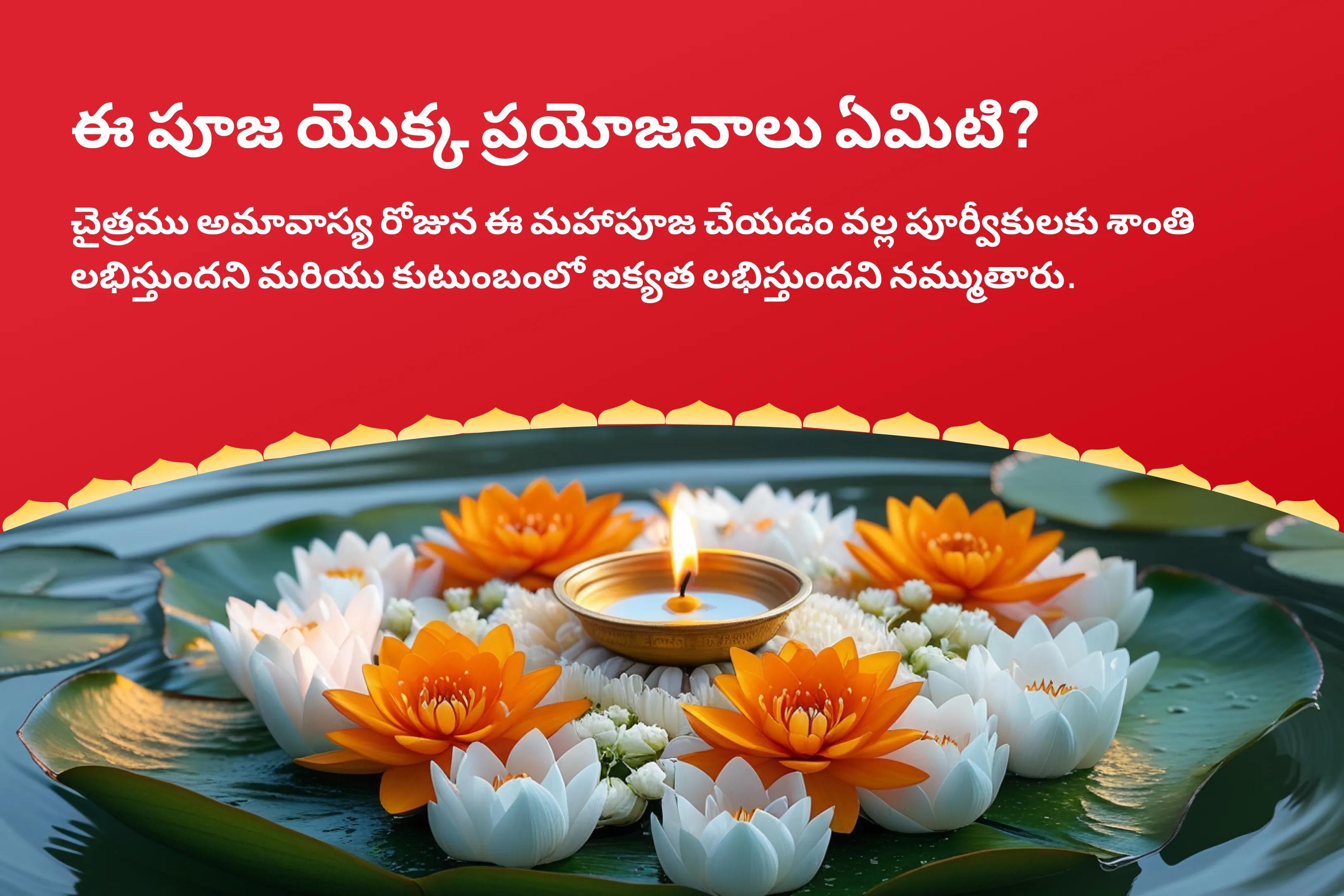 చైత్ర మాసం అమావాస్య పితృ పూజ శాంతి స్పెషల్ నారాయణ బలి, నాగ బలి మరియు పితృ శాంతి మహాపూజ మరణించిన వారి ఆత్మల శాంతి కోసం