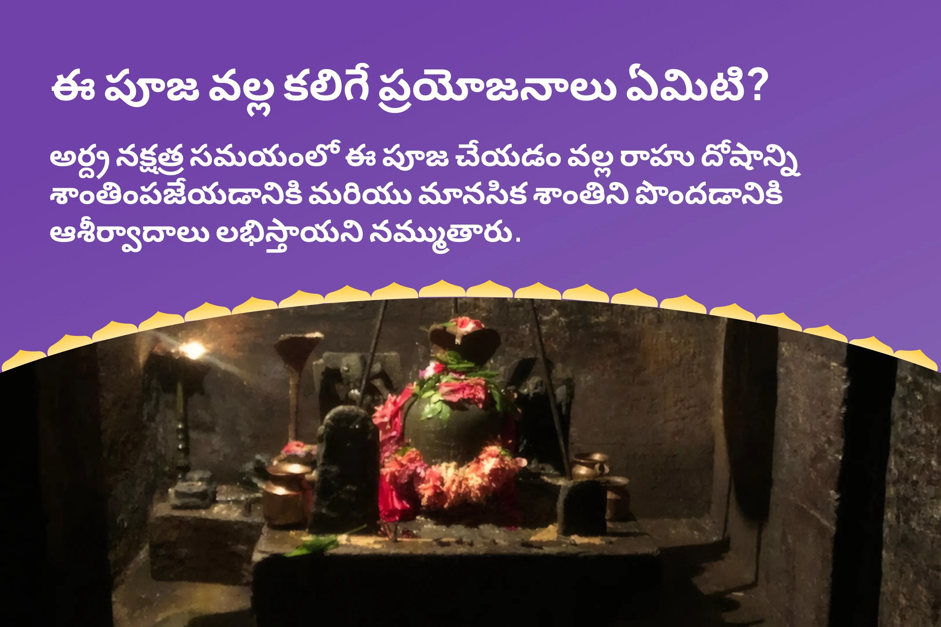 రాహువు ప్రత్యేక నక్షత్రం  రాహు శాంతి జపం మరియు హోమం  రాహు దోషాన్ని శాంతపరచడానికి మరియు మానసిక శాంతిని పొందడానికి