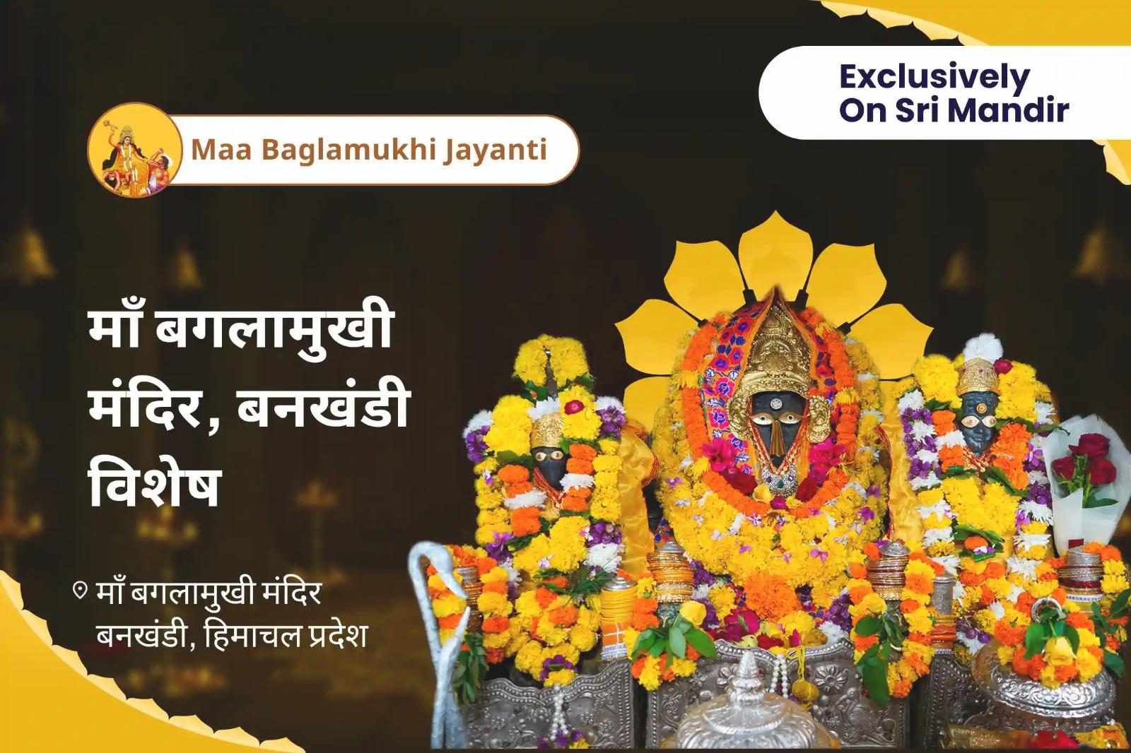 सुख, समृद्धि और शांति के लिए माँ बगलामुखी मंदिर, बनखंडी विशेष माँ बगलामुखी जयंती विशेष पूजा