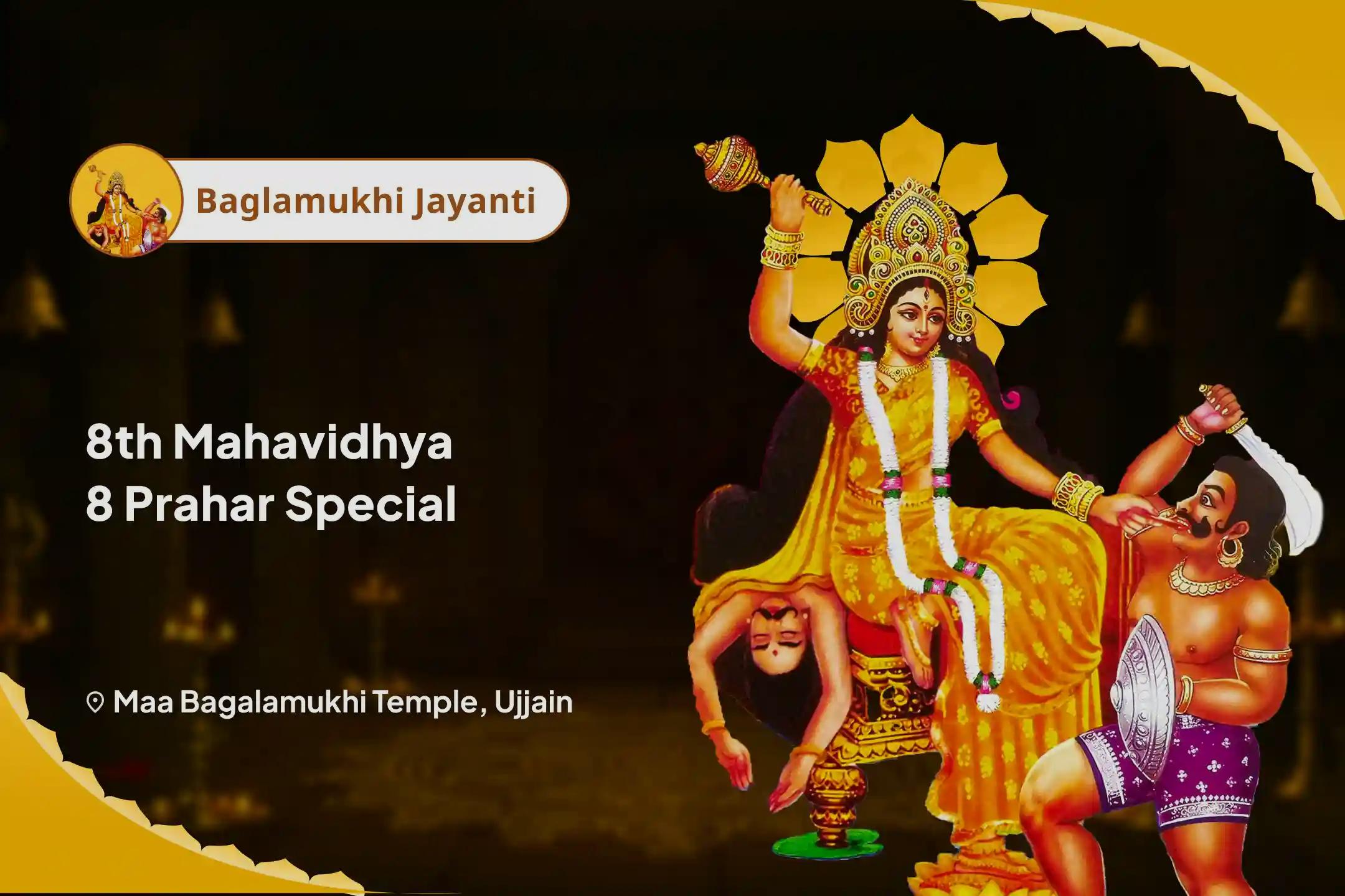 Bagalamukhi Jayanti 8th Mahavidhya 8 Prahar Special Maa Bagalamukhi 8,000 Mool Mantra Jaap, Shodosopchar Abhishek and Pitambara Havan Biggest Ever 24 Hour 8 Brahmin Powerful Ritual