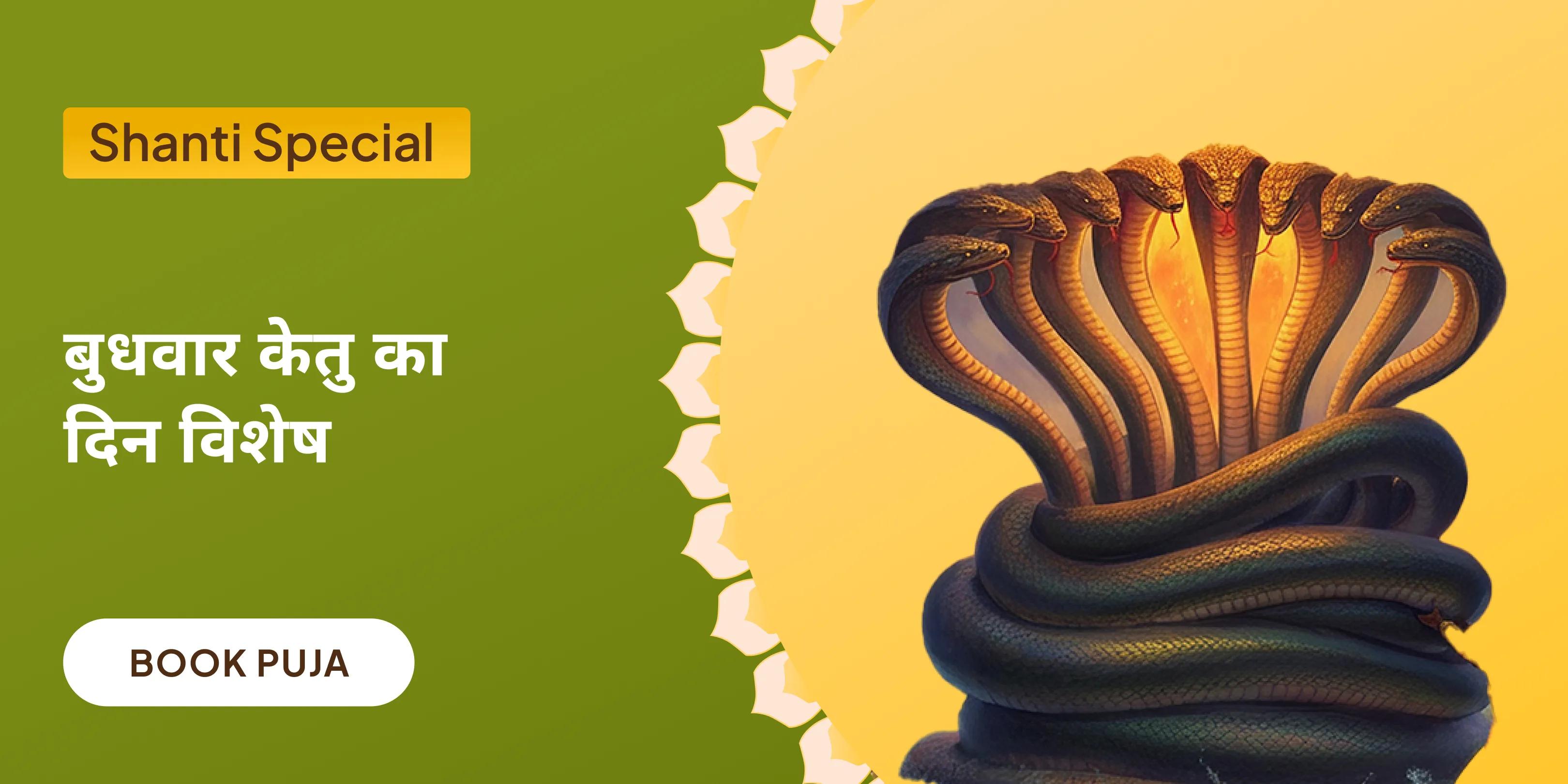काल सर्प दोष शांति पूजा एवं शिव रुद्राभिषेक