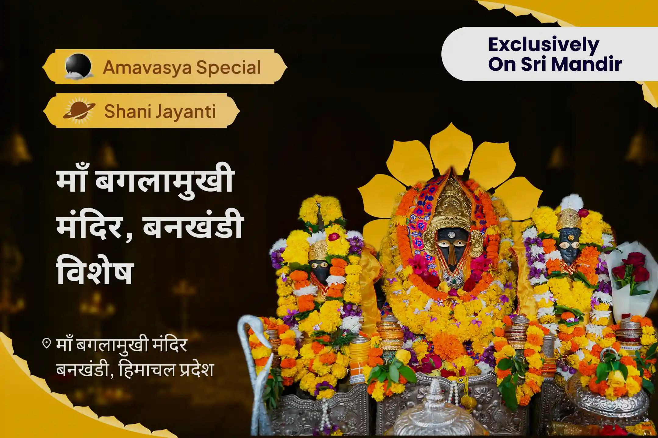सुख, समृद्धि और शांति के लिए मां बगलामुखी मंदिर, बनखंडी विशेष माँ बगलामुखी अमावस्या विशेष पूजा