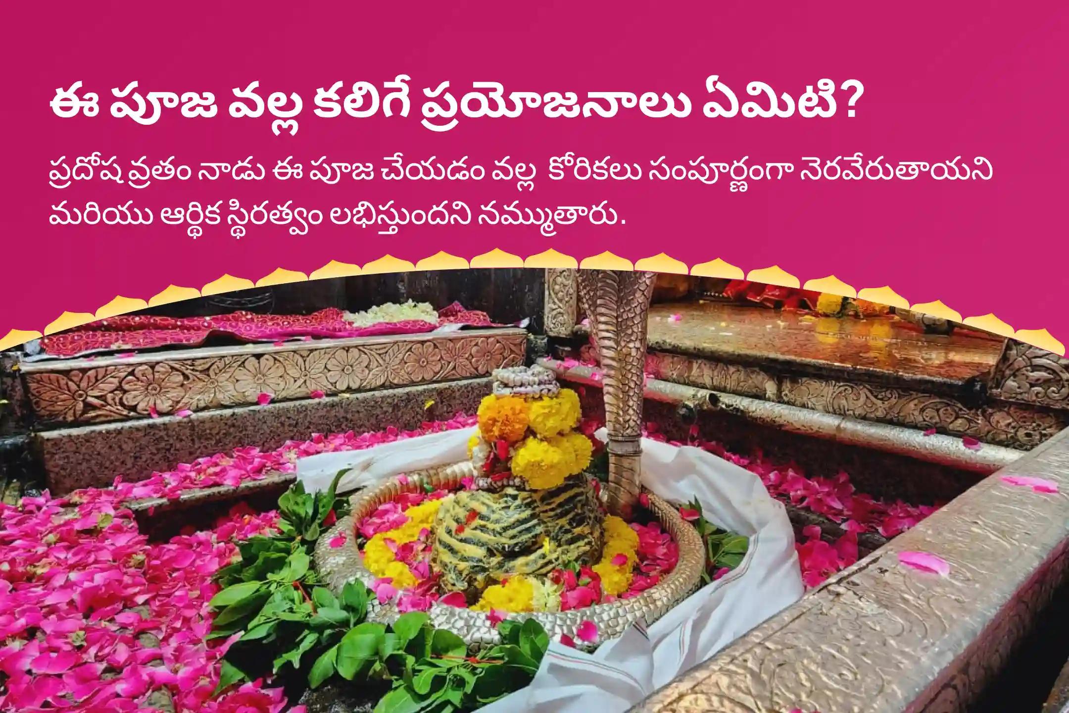 ప్రదోష వ్రత జ్యోతిర్లింగ శివ పూజ స్పెషల్ శివ రుద్రభిషేకం మరియు రుద్ర హోమం సంపూర్ణ కోరికల నెరవేర్పు మరియు ఆర్థిక స్థిరత్వం కోసం