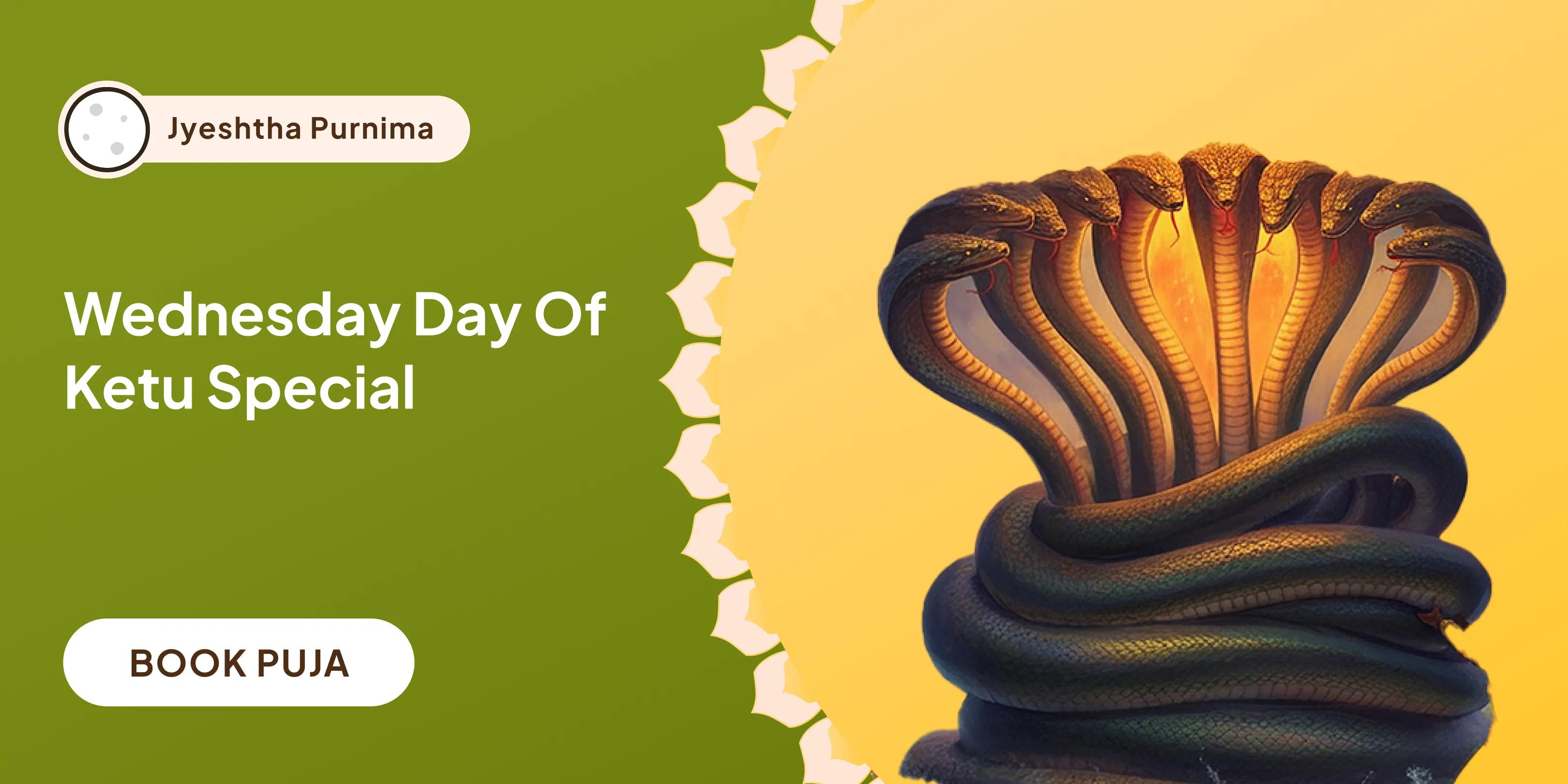 Kaal Sarp Dosh Shanti Puja and Shiv Rudrabhishek