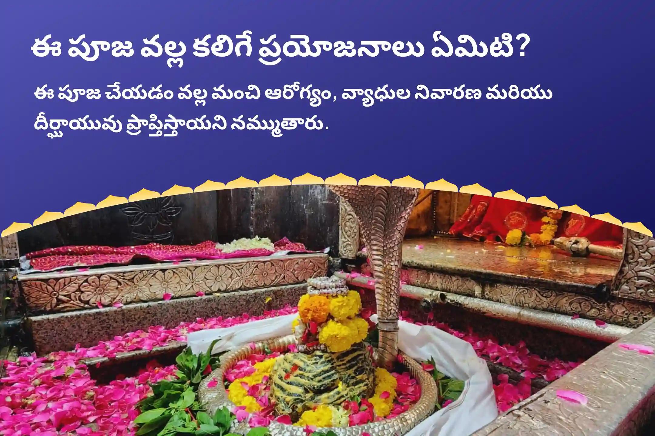 సోమ ప్రదోష వ్రత 'ఆరోగ్య దైవ' జ్యోతిర్లింగం స్పెషల్ 11,000 మహామృత్యుంజయ మంత్ర జపం మరియు ధన్వంతరి శక్తి హోమం మంచి ఆరోగ్యం, వ్యాధి నివారణ, మరియు దీర్ఘాయువు కోసం