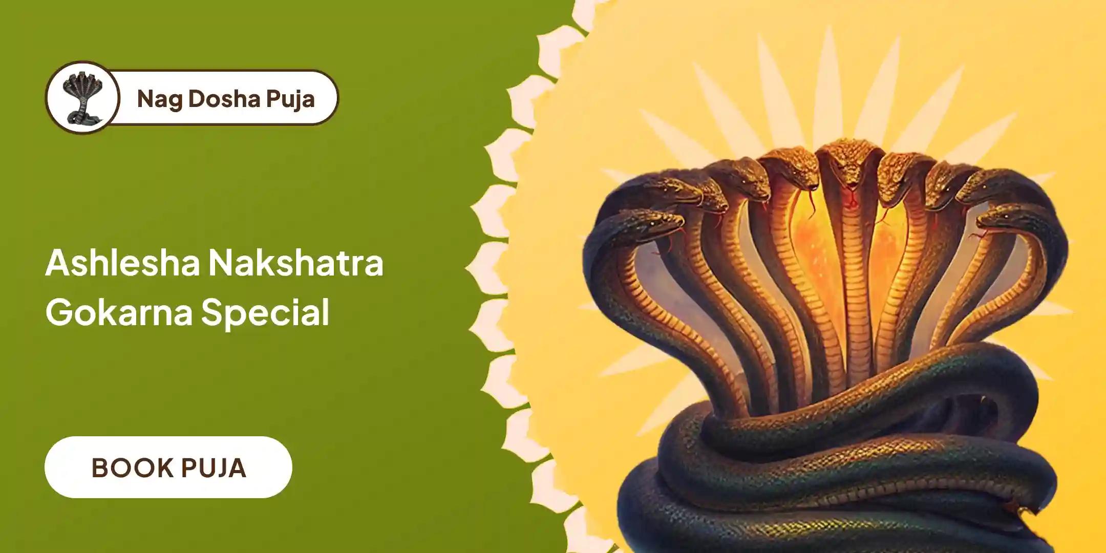 Ashlesha Naag Bali Puja