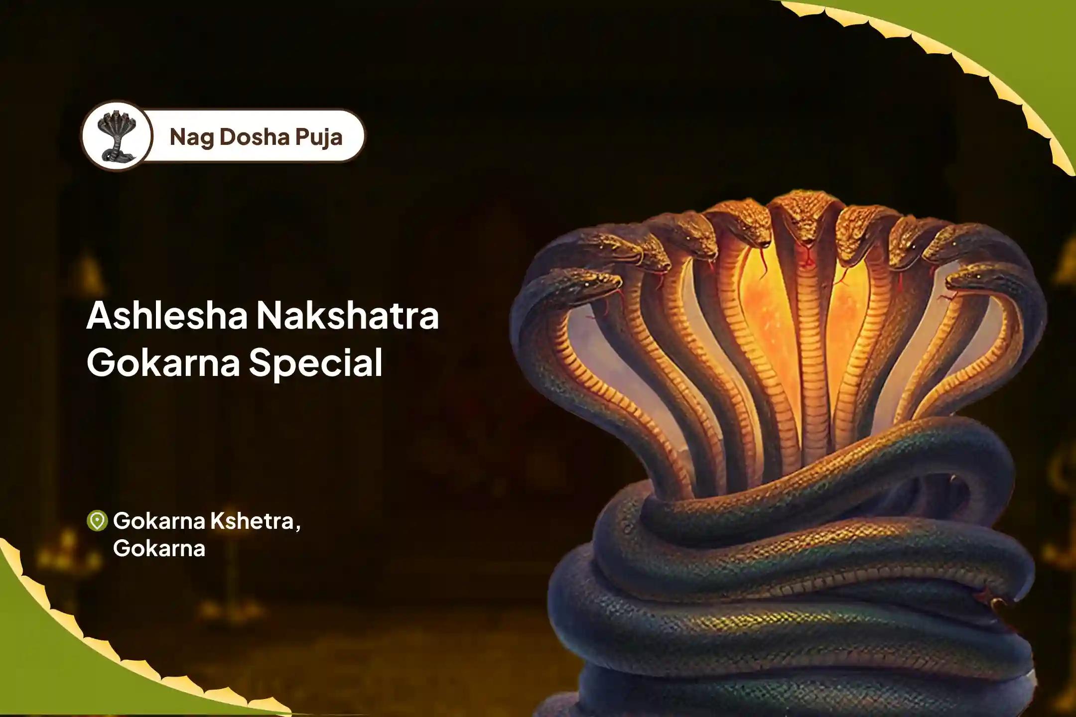 Ashlesha Nakshatra Gokarna Special Ashlesha Naag Bali Puja To remove the malicious effects of Sarpa (naga) dosha and celan karmic sins