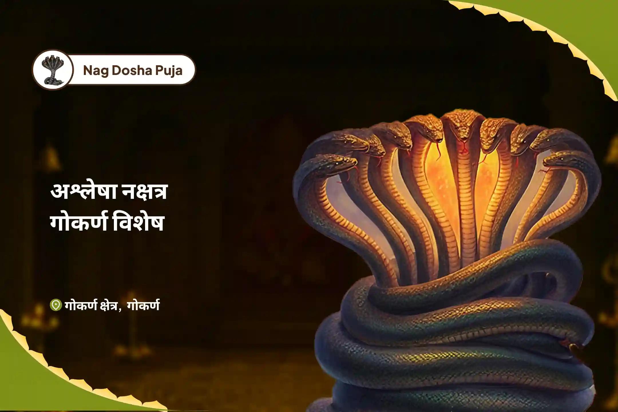 सर्प (नाग) दोष और कार्मिक पापों के दुर्भावनापूर्ण प्रभावों को दूर करने के लिए अश्लेषा नक्षत्र गोकर्ण विशेष अश्लेषा नागबली पूजा