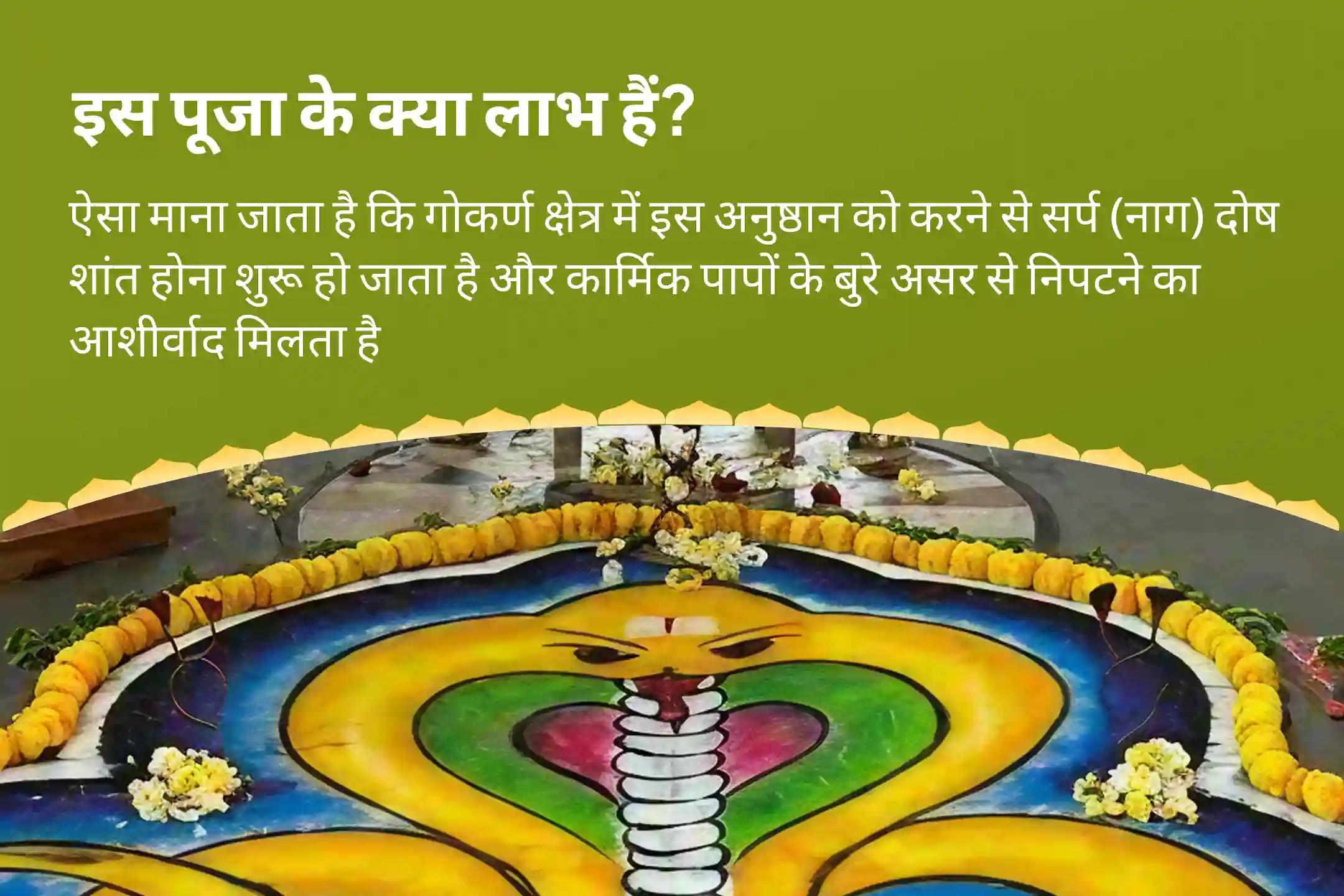 सर्प (नाग) दोष और कार्मिक पापों के दुर्भावनापूर्ण प्रभावों को दूर करने के लिए अश्लेषा नक्षत्र गोकर्ण विशेष अश्लेषा नागबली पूजा