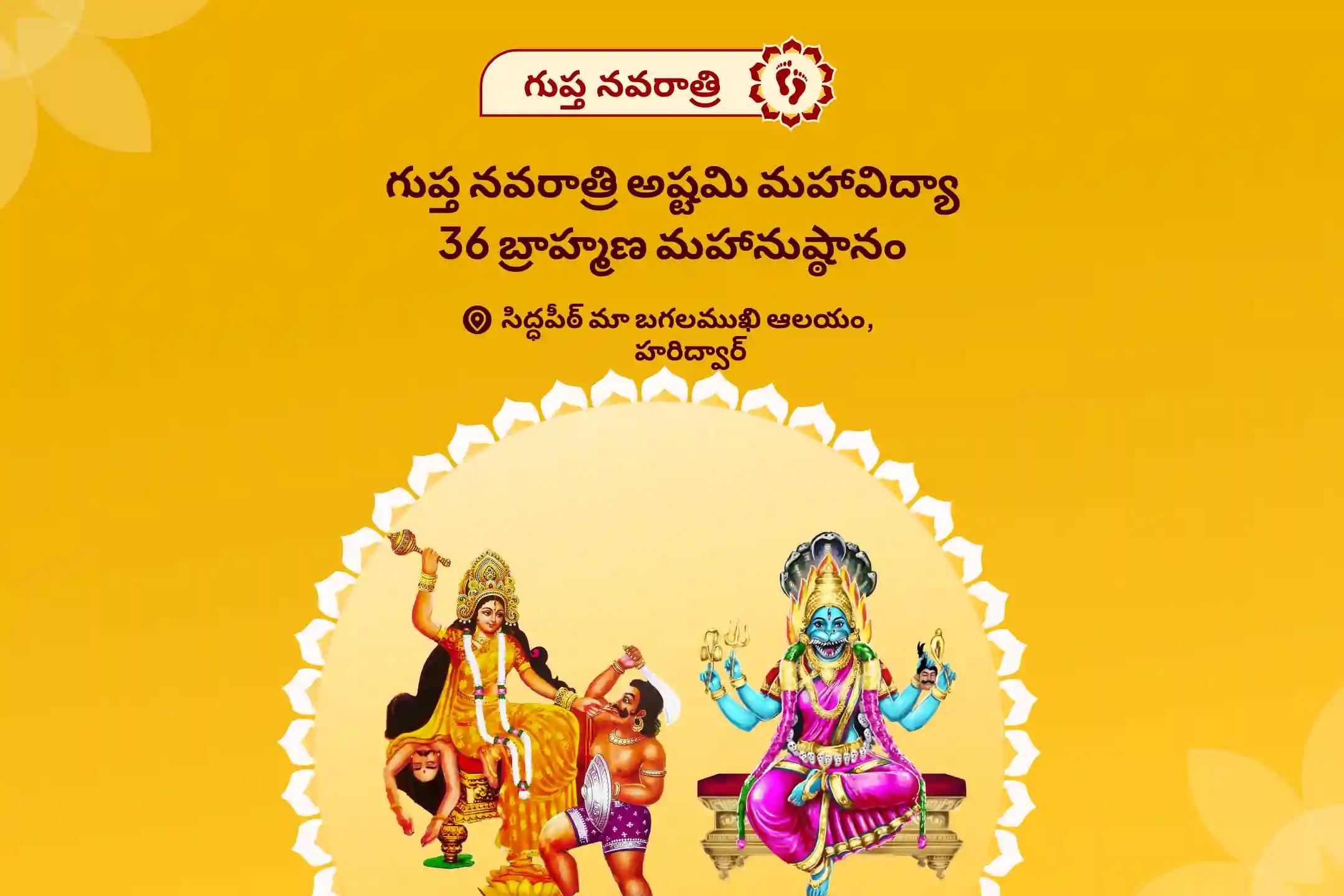 గుప్త నవరాత్రి అష్టమి మహావిద్యా 36 బ్రాహ్మణ మహానుష్ఠానం బగళాముఖీ-ప్రత్యంగిరా కవచ పారాయణం, 1,25,000 బగళాముఖీ మూల మంత్ర జపం, మరియు హోమం దేవి రక్షణ కోసం, ప్రతికూల శక్తులు మరియు వాటి ప్రభావాలను దూరం చేయడానికి