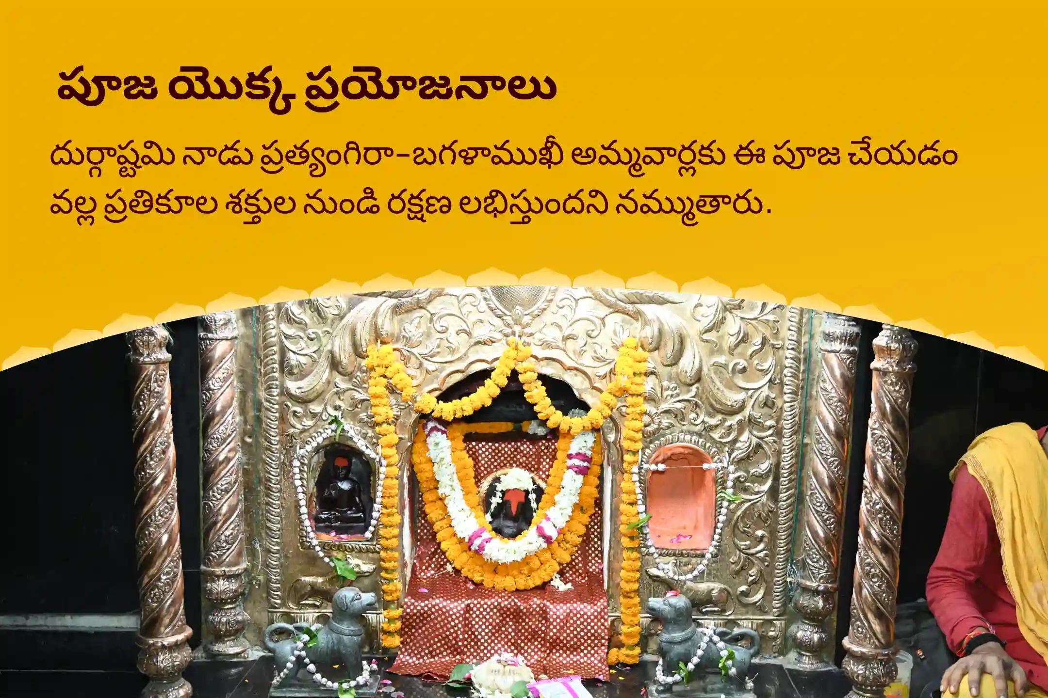 గుప్త నవరాత్రి అష్టమి మహావిద్యా 36 బ్రాహ్మణ మహానుష్ఠానం బగళాముఖీ-ప్రత్యంగిరా కవచ పారాయణం, 1,25,000 బగళాముఖీ మూల మంత్ర జపం, మరియు హోమం దేవి రక్షణ కోసం, ప్రతికూల శక్తులు మరియు వాటి ప్రభావాలను దూరం చేయడానికి