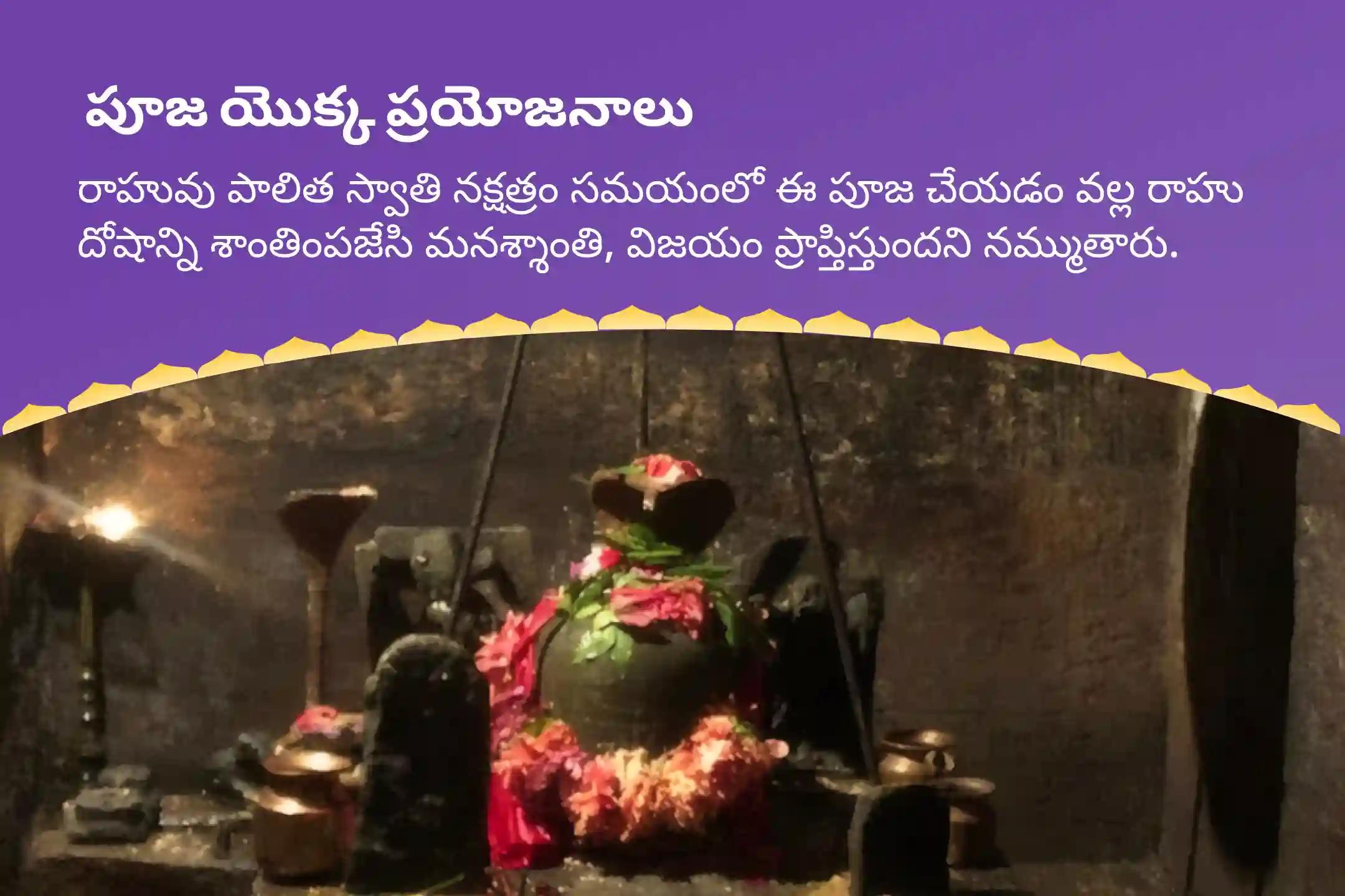 రాహువు నక్షత్రం స్పెషల్ రాహు శాంతి జపం మరియు హోమం మానసిక స్థిరత్వం మరియు విజయం కొరకు ఆశీస్సులు