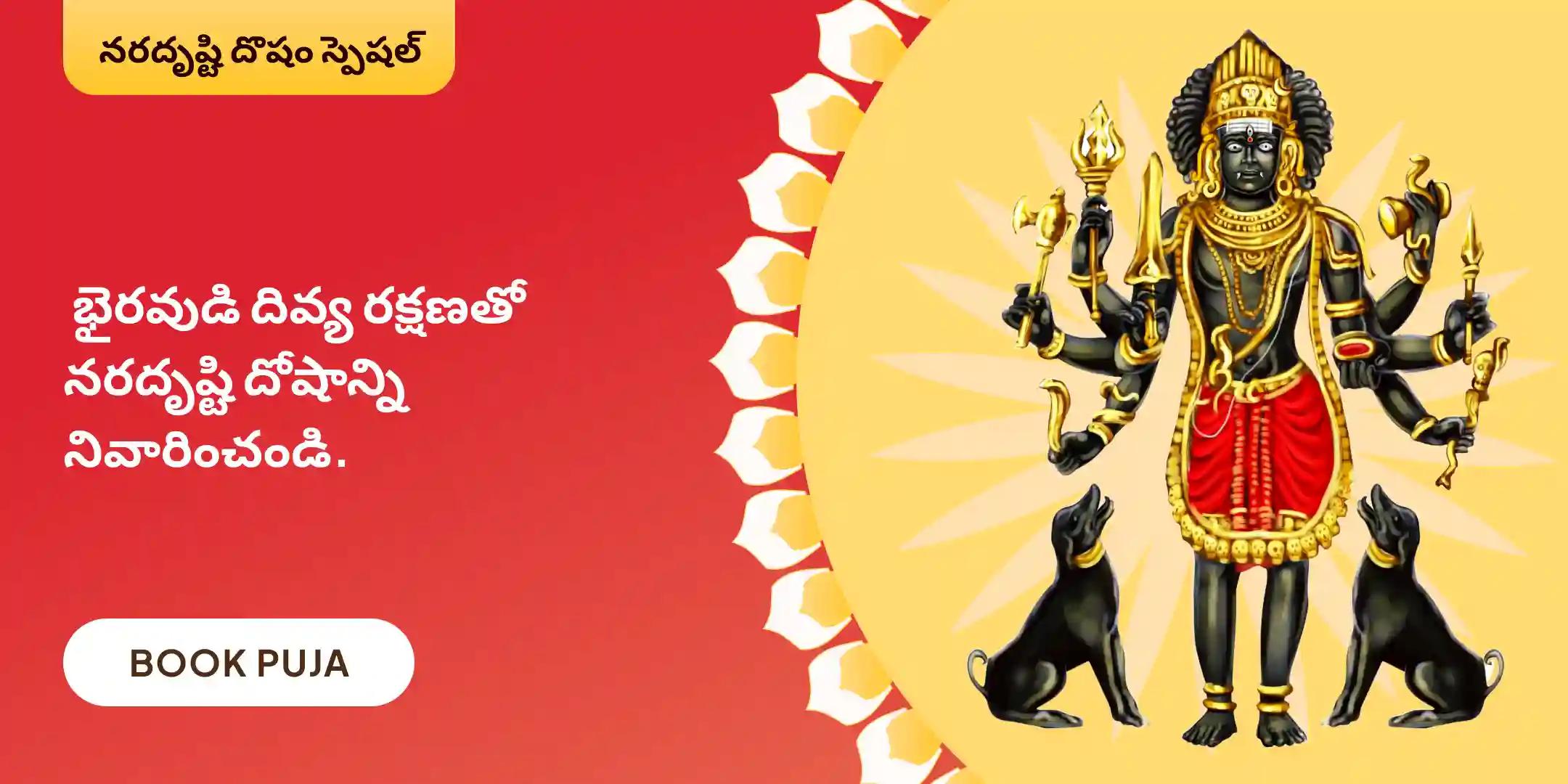 నరదృష్టి దోష శాంతి పూజ మరియు హోమం