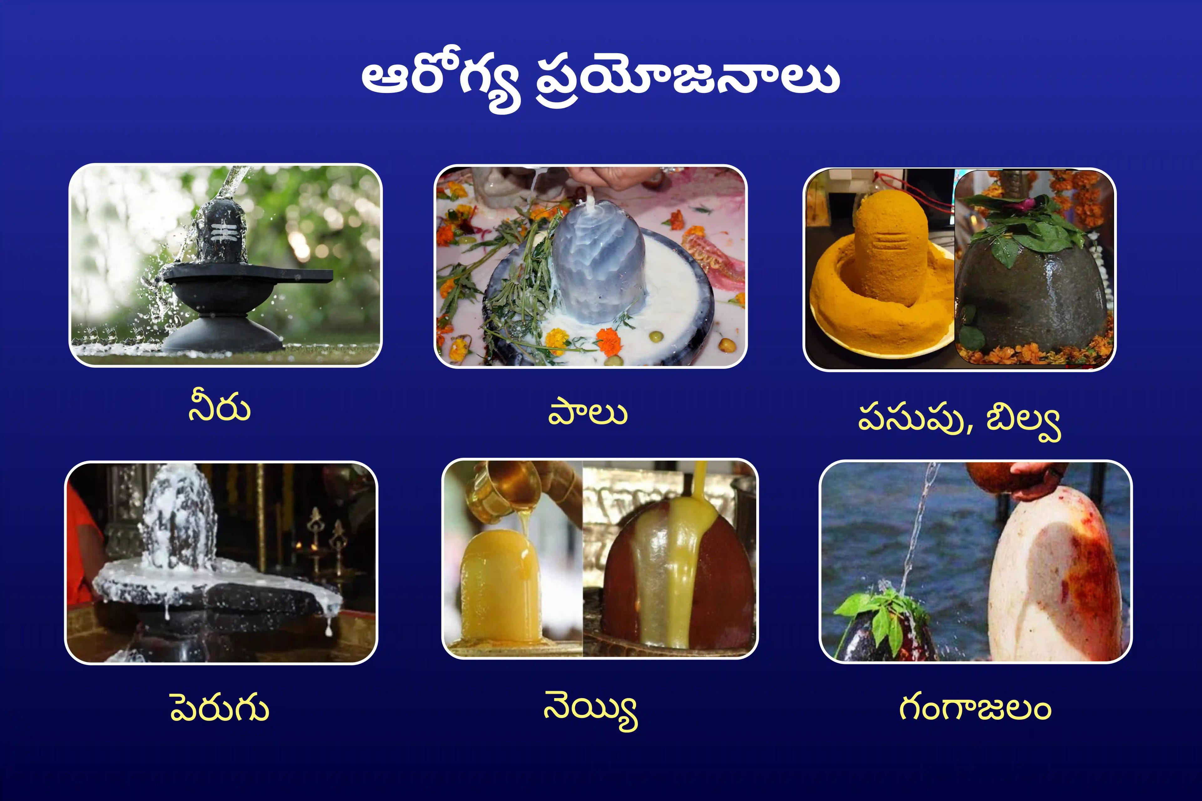 ఆరోగ్యం, సంపద, శ్రేయస్సు మరియు ఆటంకాల నివారణకై ఆశీస్సుల కోసం సోమవారం ప్రత్యేక 21 ద్రవ్య జ్యోతిర్లింగ మహా రుద్రాభిషేకం మరియు 1,00,008 శివ పంచాక్షరి మంత్ర జపంలో పాల్గొనండి.