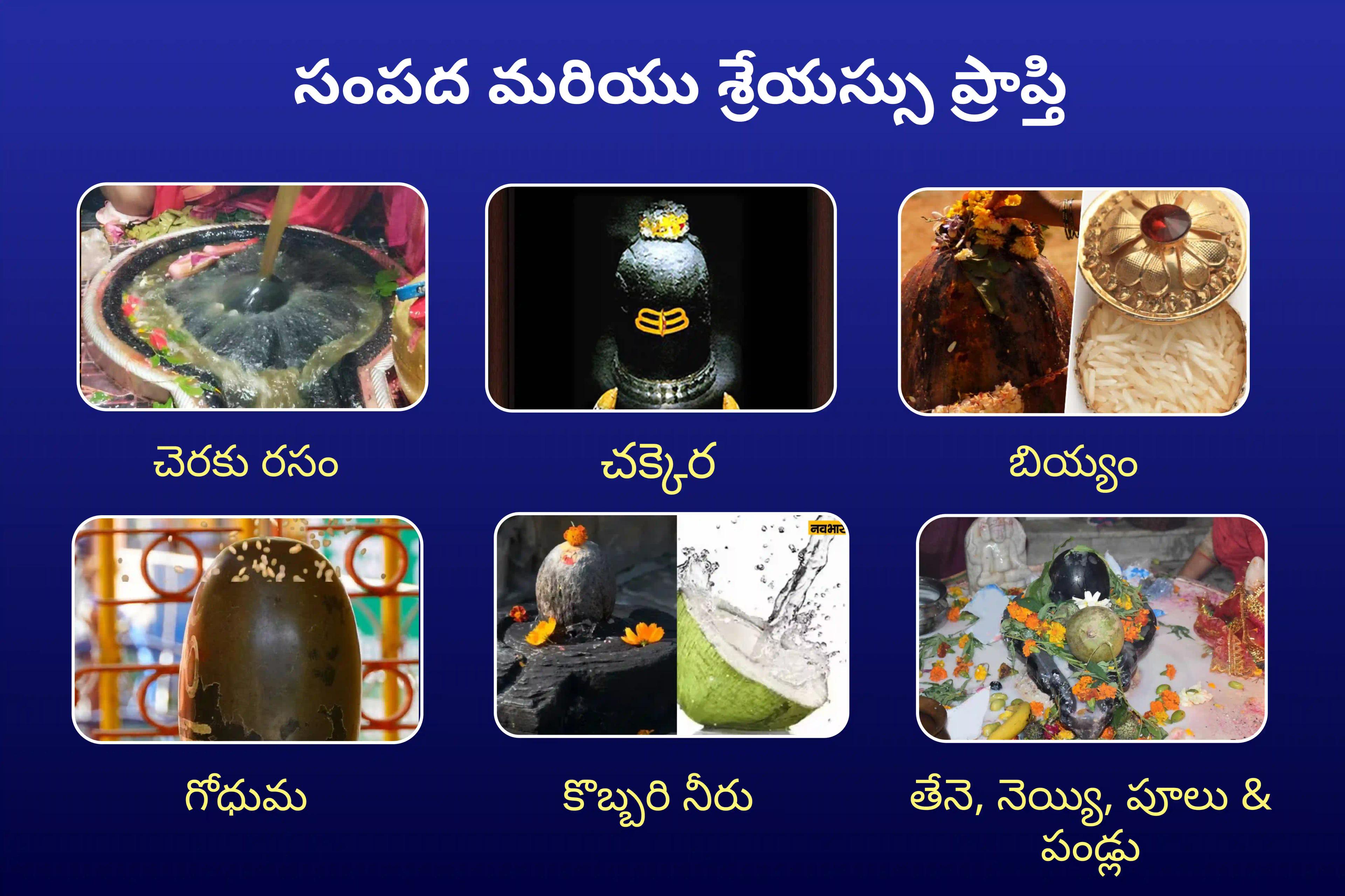 ఆరోగ్యం, సంపద, శ్రేయస్సు మరియు ఆటంకాల నివారణకై ఆశీస్సుల కోసం సోమవారం ప్రత్యేక 21 ద్రవ్య జ్యోతిర్లింగ మహా రుద్రాభిషేకం మరియు 1,00,008 శివ పంచాక్షరి మంత్ర జపంలో పాల్గొనండి.