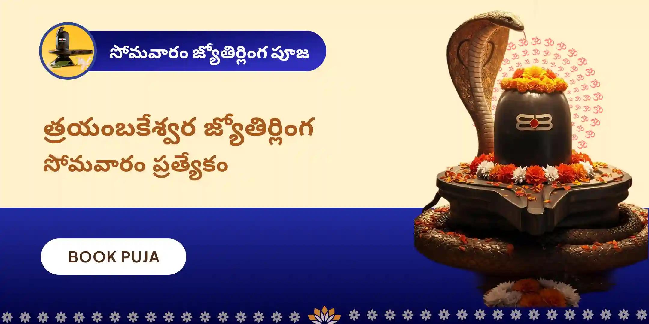 జ్యోతిర్లింగ త్రయంబకేశ్వర రుద్రాభిషేక మహాపూజ
