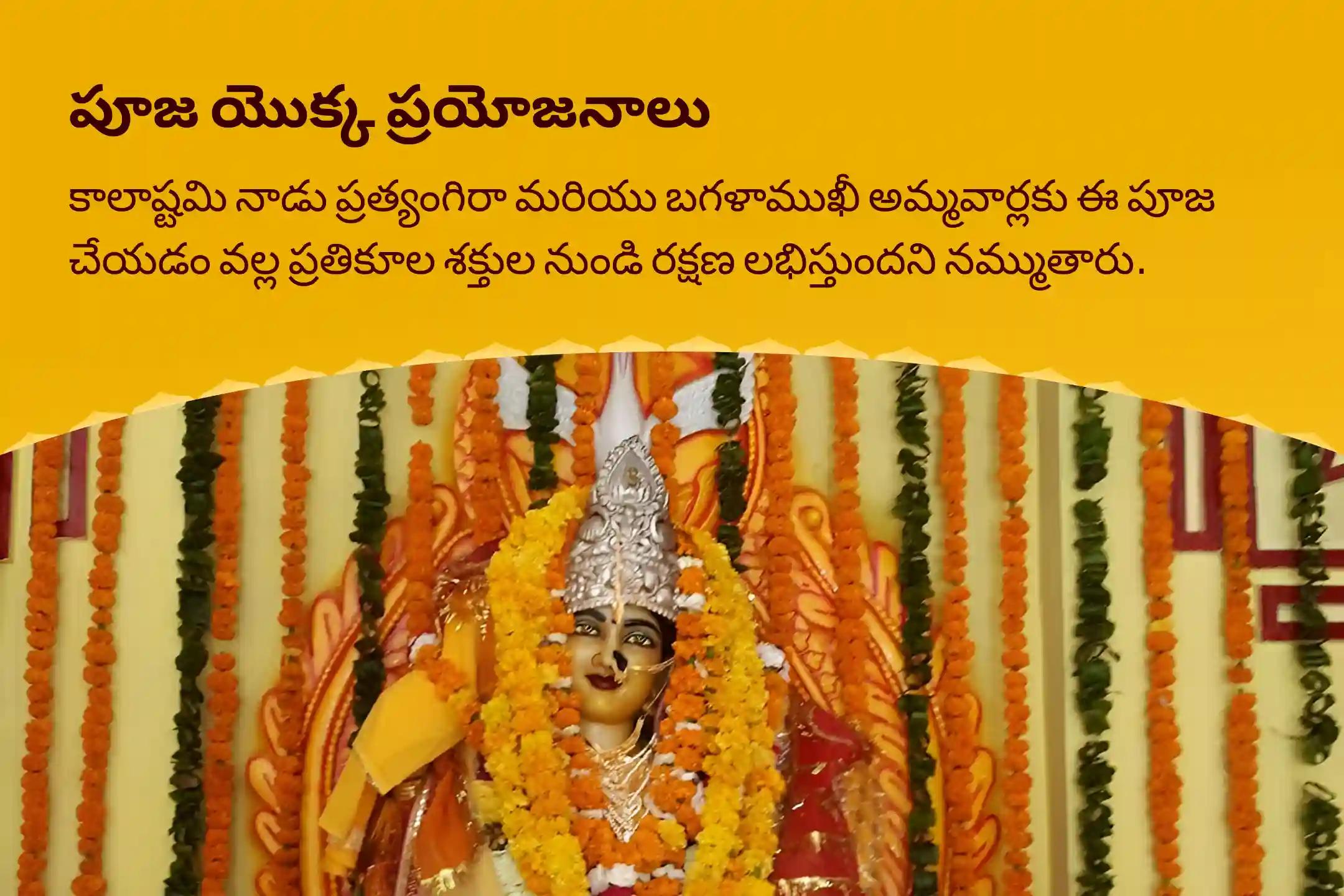 కాలాష్టమి మహావిద్యా 36 బ్రాహ్మణ మహానుష్ఠానం బగళాముఖీ-ప్రత్యంగిరా కవచ పారాయణం, 1,25,000 బగళాముఖీ మూల మంత్ర జపం, మరియు హోమం దేవి రక్షణ కోసం, ప్రతికూల శక్తులు మరియు వాటి ప్రభావాలను దూరం చేయడానికి
