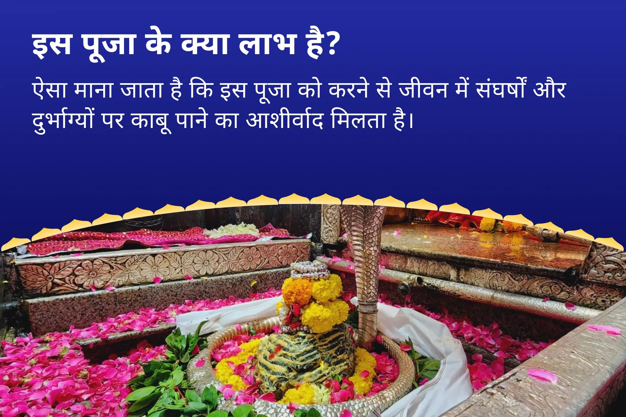 जीवन में संघर्षों और दुर्भाग्यों पर काबू पाने के लिए सावन "राहु का नक्षत्र" पाप ग्रह शांति विशेष राहु-केतु दोष निवारण महायज्ञ एवं शनि-मंगल शांति पूजा