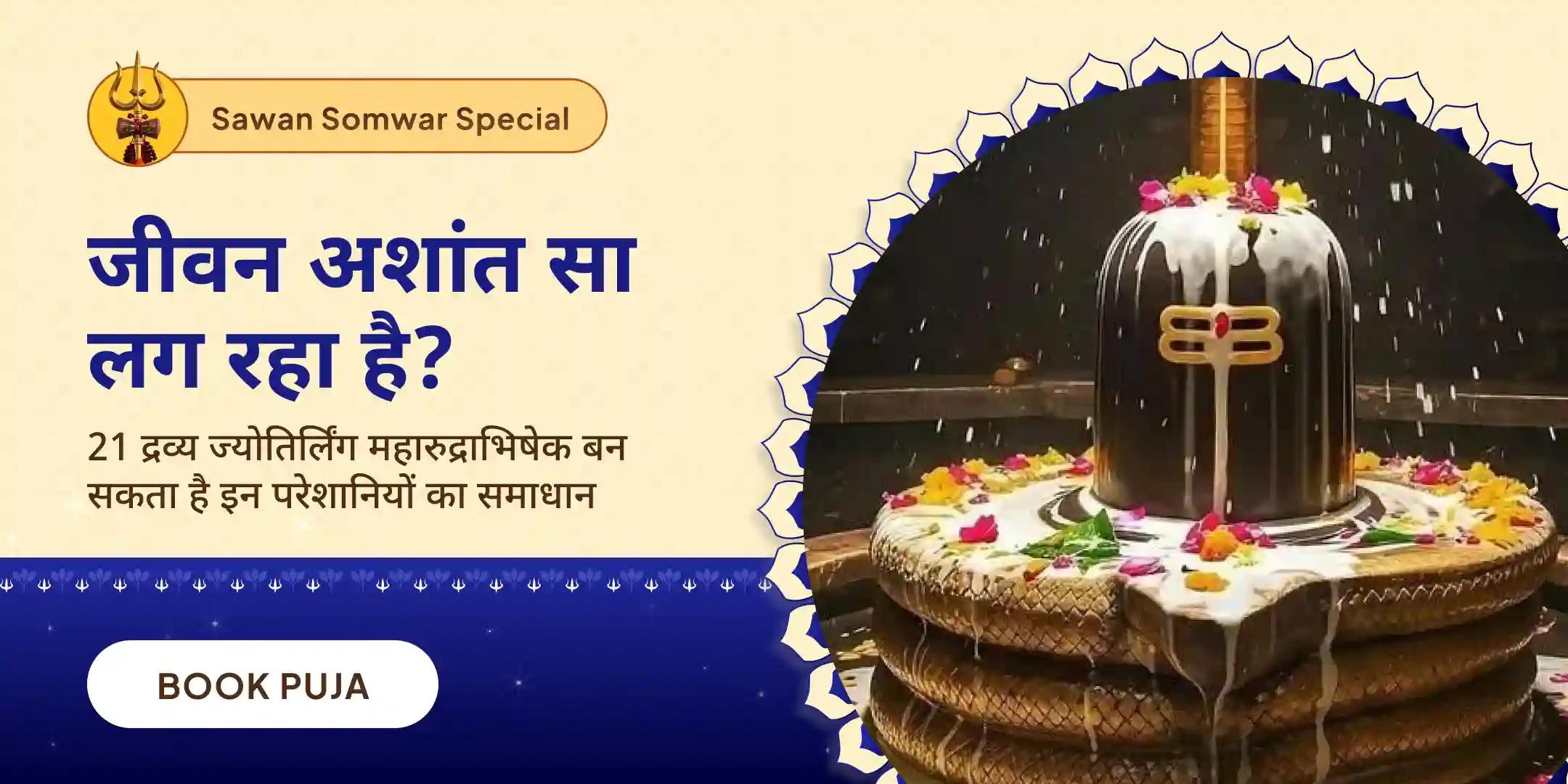 21 द्रव्य महा रुद्राभिषेक एवं 1,00,008 शिव पंचाक्षरी मंत्र जाप