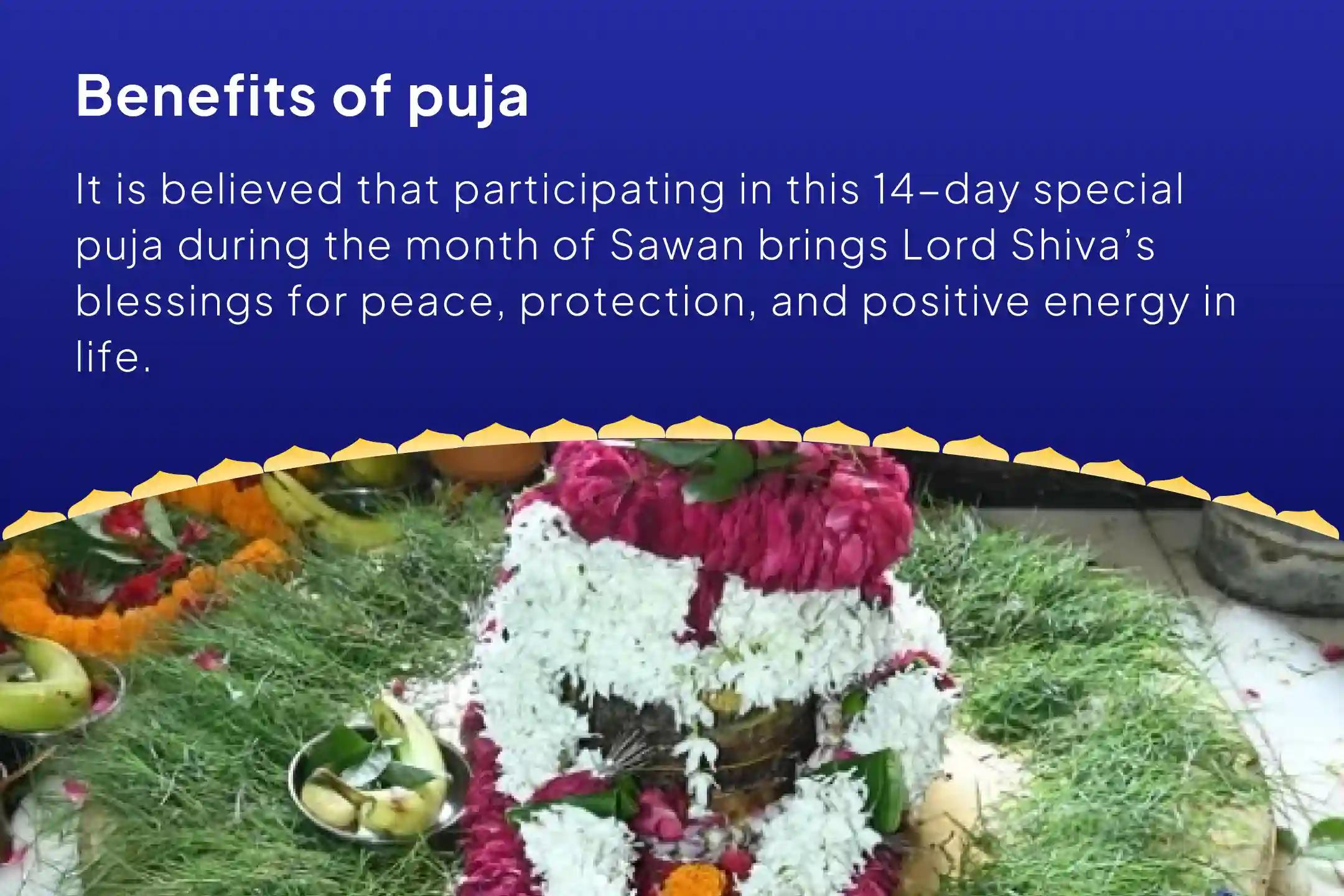 Sawan Special – Final 14-Day Puja Sawan Akhand Shivarchan: 14 Days of Daily Rudrabhishek and 1.25 Lakh Panchakshari Jaap Seek blessings for peace, protection, and positivity