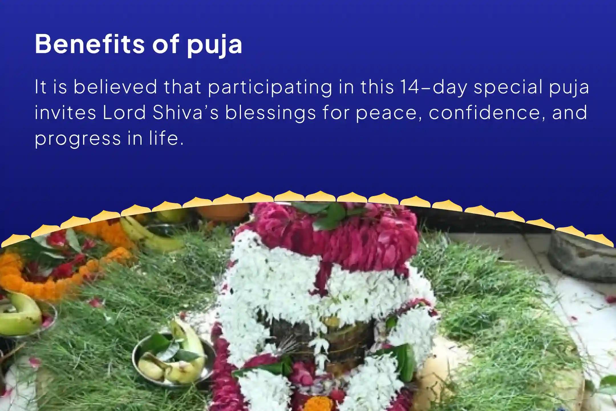 Sawan Special – Final 14-Day Worship 14-Day Daily – 1.25 Lakh Shiva Panchakshari Mantra Jaap and Havan Seek Lord Shiva’s blessings for peace, confidence, and growth in all areas of life