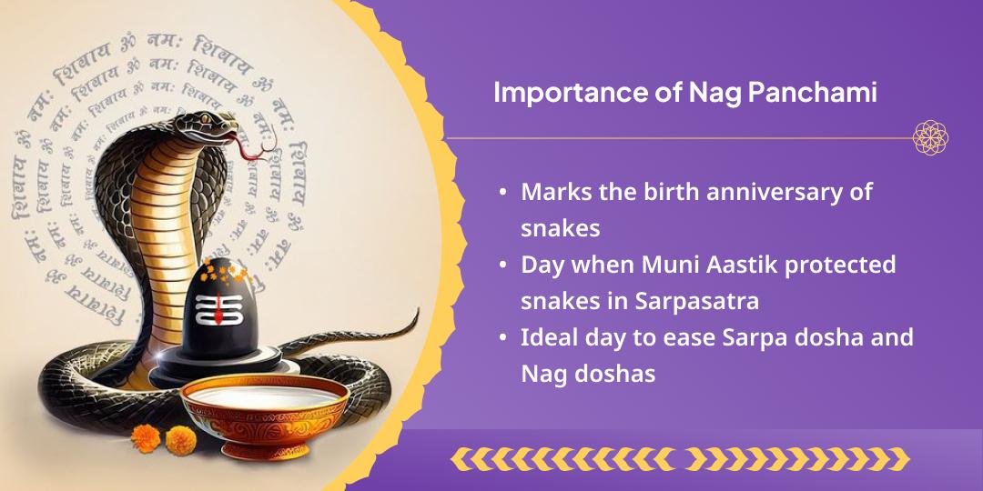  Nag Panchami Sarp Dosh Shanti Naag Vasuki Chadhava 