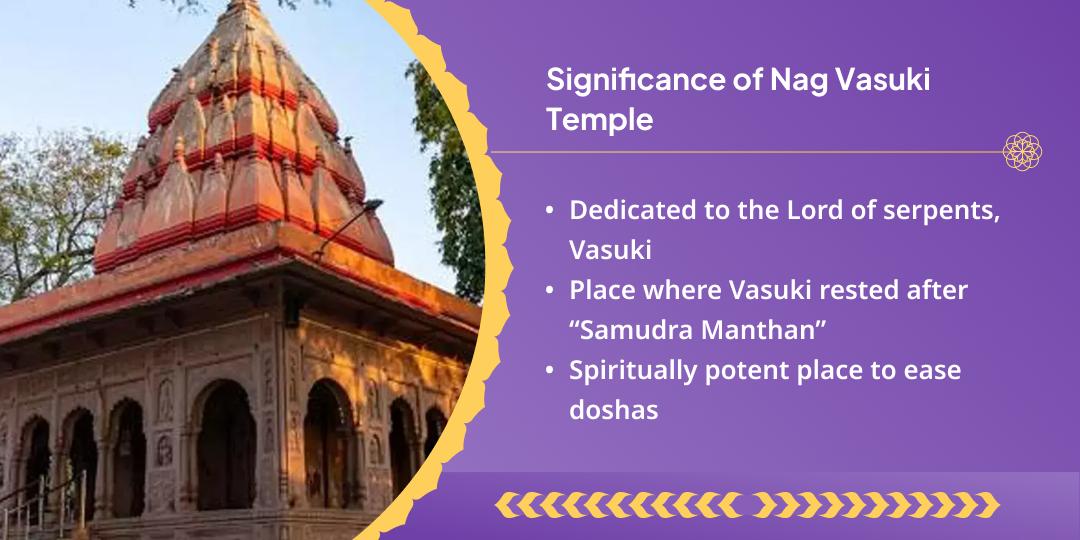  Nag Panchami Sarp Dosh Shanti Naag Vasuki Chadhava 